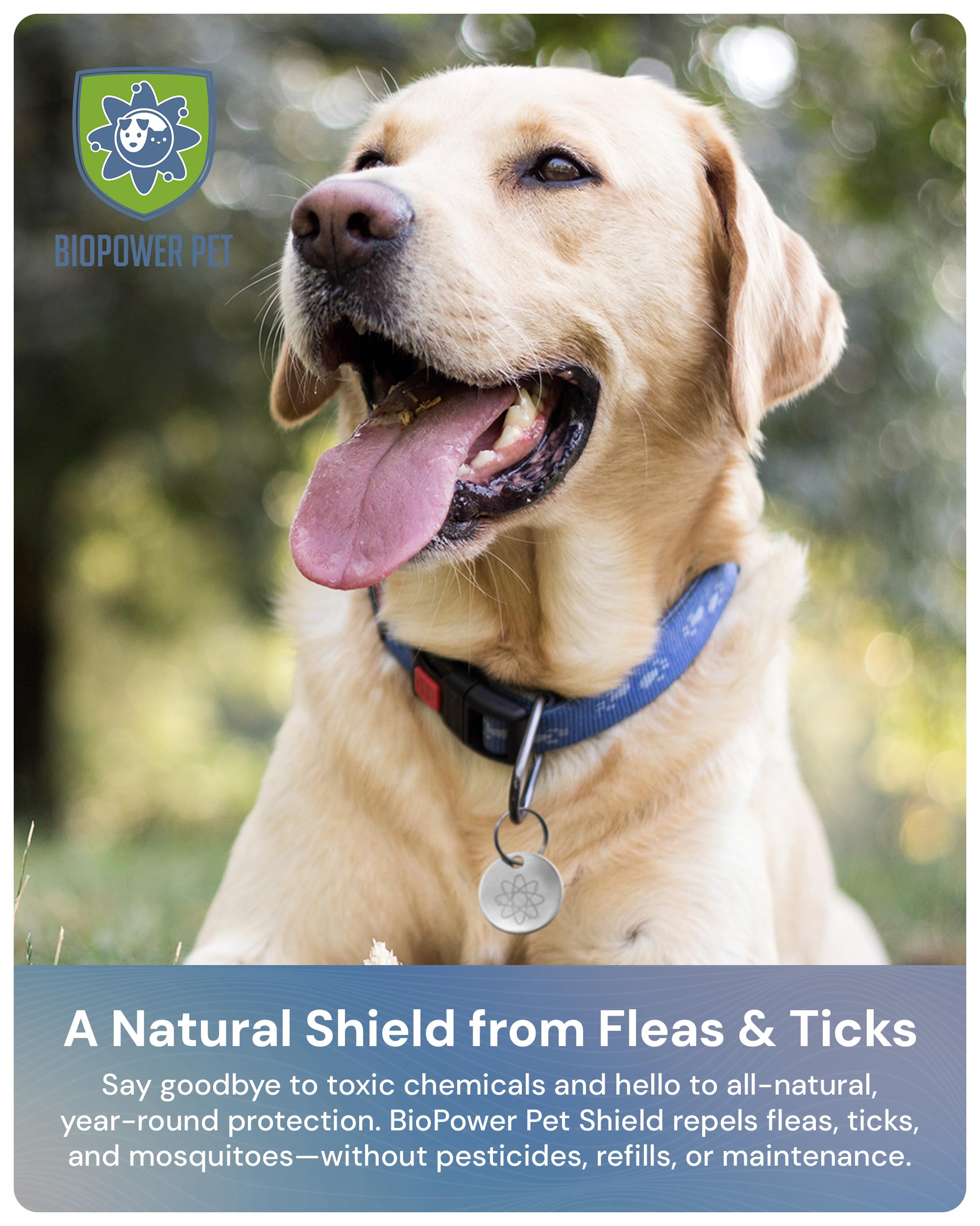 Natural Flea & Tick Repellent Collar Tag for Dogs & Cats – BioPower Pet Shield – Safe for Pets When Used as Directed – Lasts 1 Full Year - Regular Tag (1Pack) - image 2