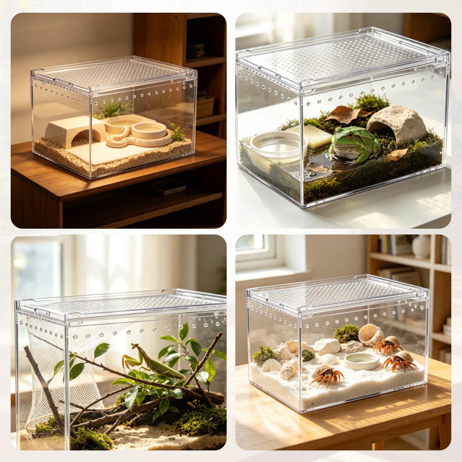 Magnetyczne pudełko do terrarium gadów, akrylowe, domowe, terrarium, układane w stos, pudełko na karmienie dla pająków, skorpiona, chrząszczy, rogatych żabek (30 x 20 x 15 cm)