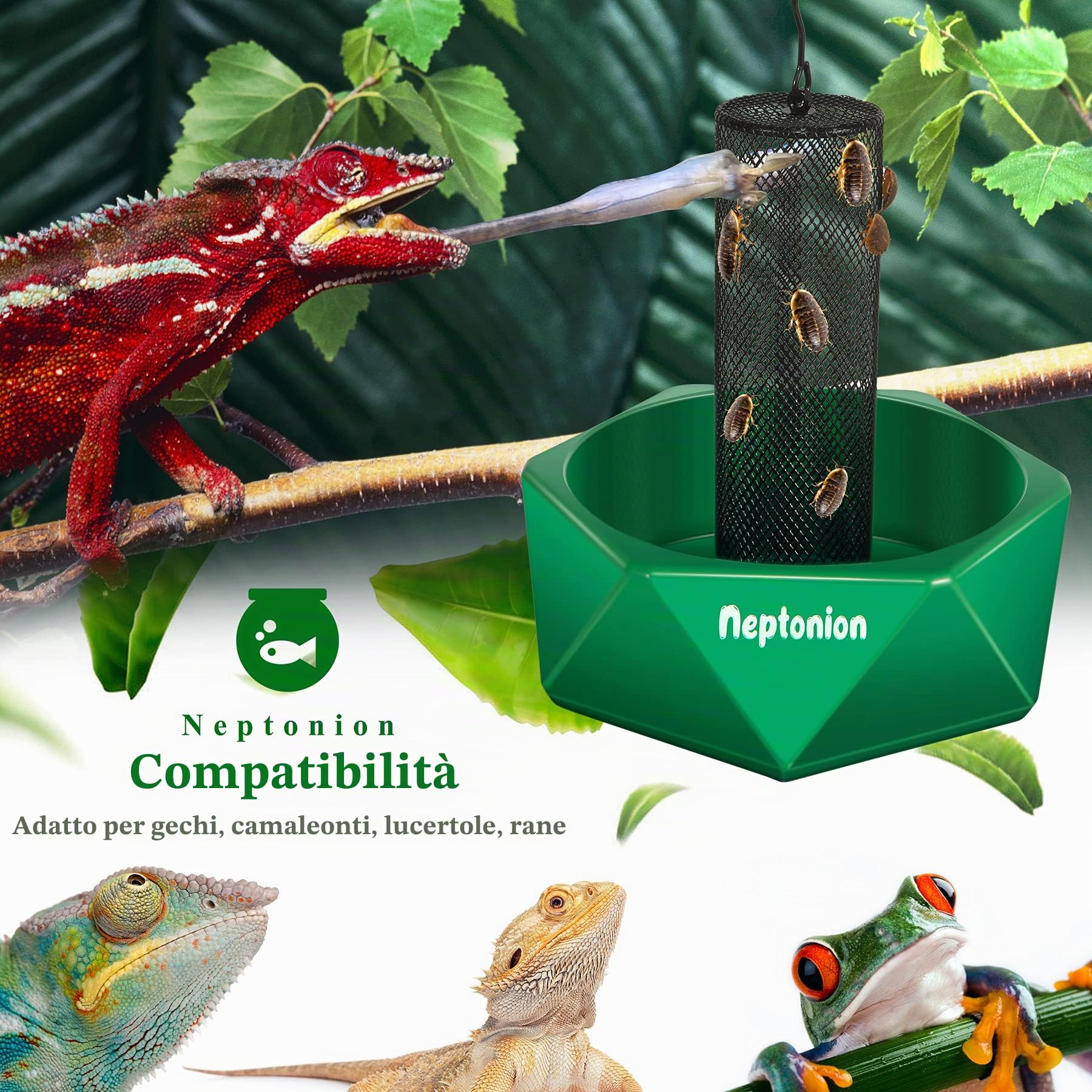 Ciotola per insetti camaleonte agganciabile con colonna per arrampicarsi e muoversi, adatta per lucertola, drago barbuto, iguana, geco, rospo, rana