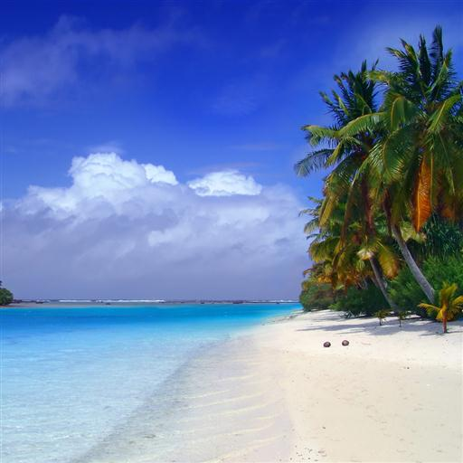 Tropical Paradise Wallpaper - App on Amazon Appstore