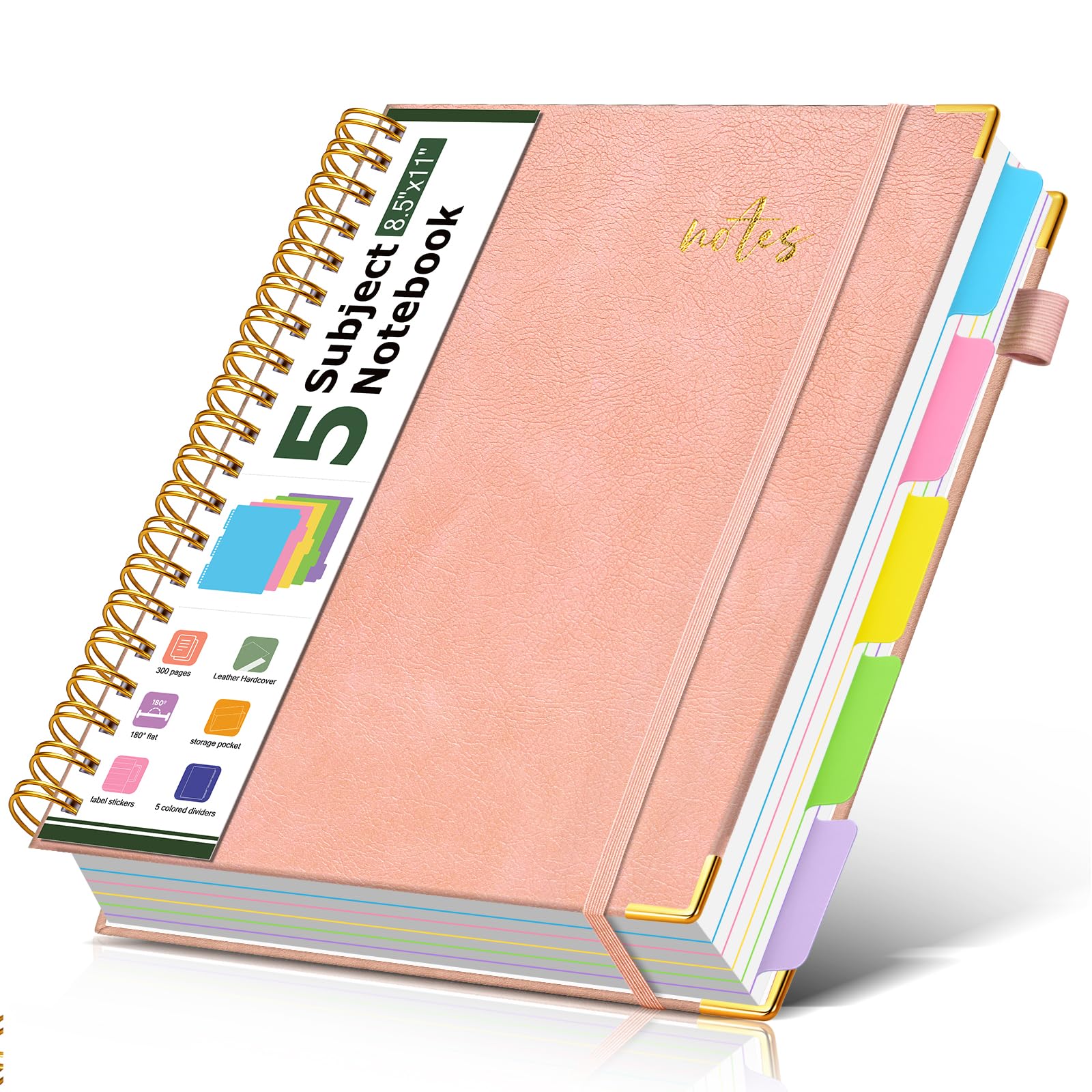 PAPEJOON 5 subject notebook college ruled A4 Pink