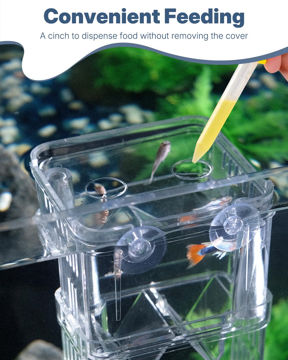 Pawfly acquario pesce allevamento box trasparente plastica Breeder Box per serbatoio di pesce avannotti incubatore incubazione Box per pesci aggressivi Guppy
