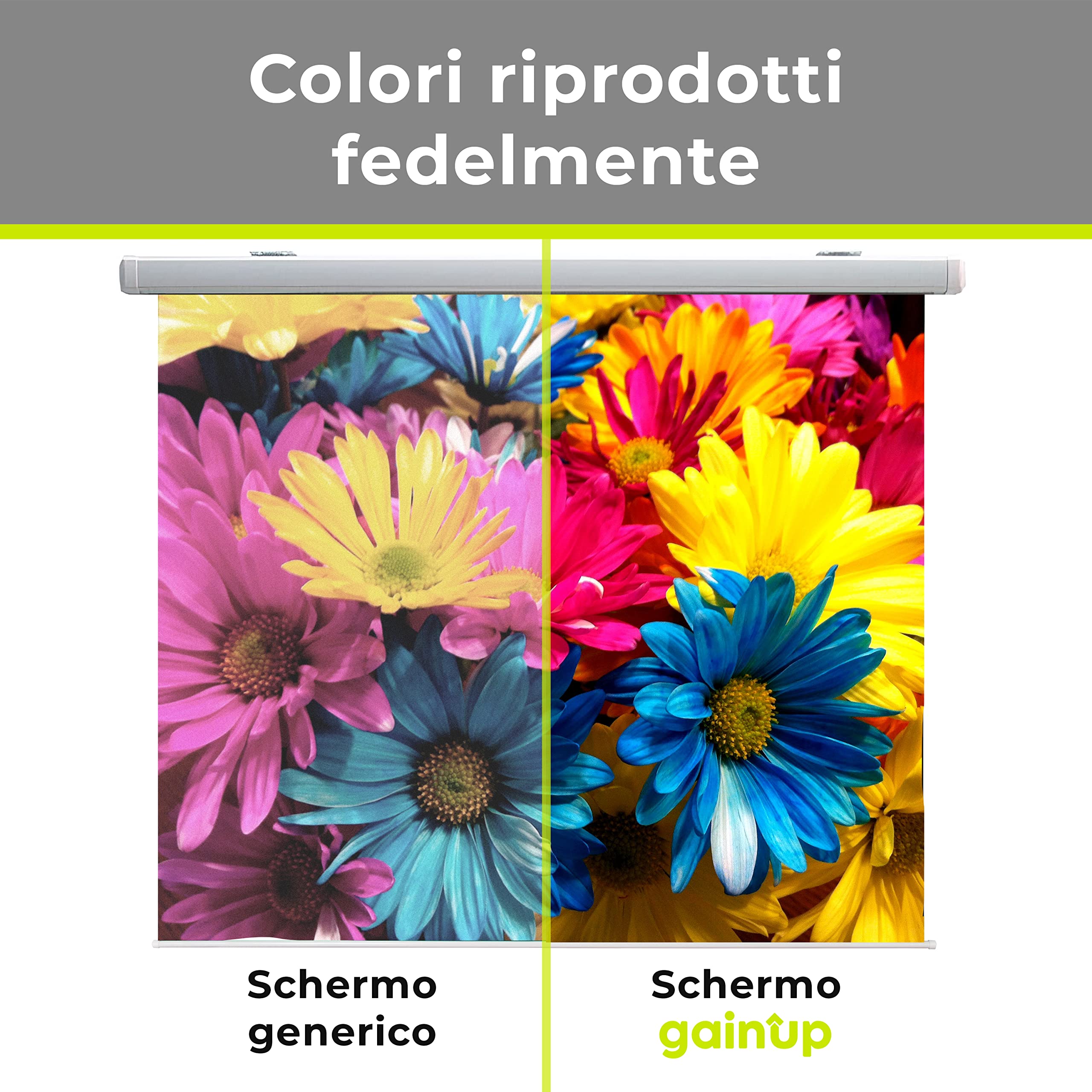 GAINUP Schermo Proiettore Manuale | 200x200cm (111 Pollici) 200cm | Formato 4:3 16:9 16:10 - Telo Bianco con Retro Nero - Telo Proiezione a Molla 2 Metri - Videoproiezione 2mt 3D Full HD 4K UltraHD 8K