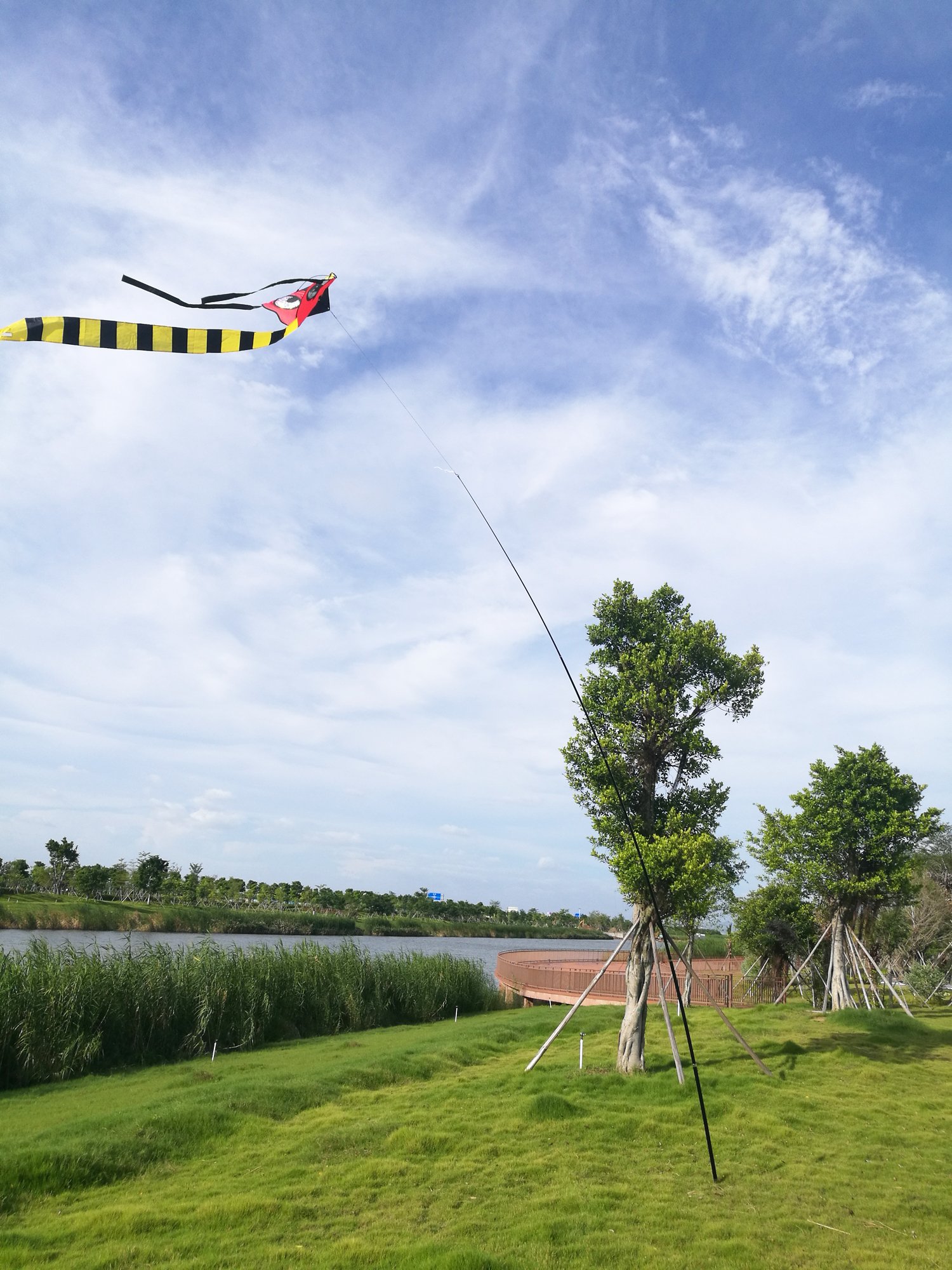 Cerf-Volant Épouvantail Aigle Volant - Effraie Les Oiseaux Avec Des Effets Lumineux Et Sonores - Pour Jardin, Ferme, Balcon - Alimenté Par Piles