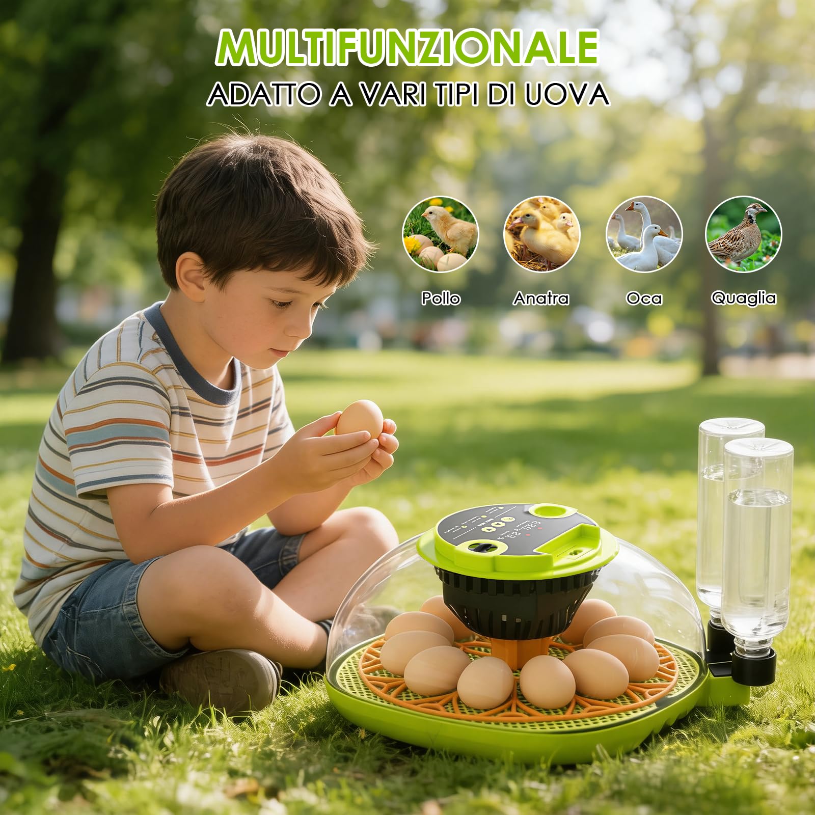 Incubatrice per Uova Automatica, Incubatrice 12 Uova Rotazione Automatica delle Uova, Controllo della Temperatura e dell’Umidità, Adatto all’Incubazione di Uova di Gallina, Anatra, Oca