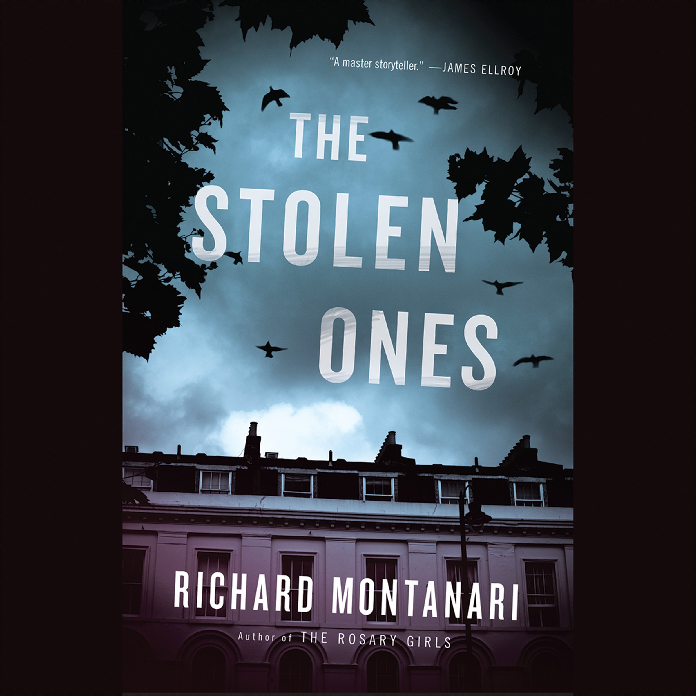 Cover art for The Stolen Ones