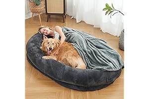 Enormous Orthopedic Human Dog Bed Designed for Sharing: Ultimate Comfort and Bonding