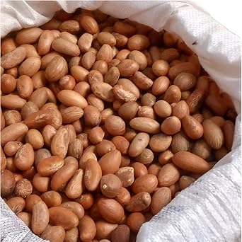 Motherland Goods Bitter Kola Aki-ilu/Mijin-goro/Orogbo Whole Dried Seeds | Traditional West African Herb | Naturally Sourced, | Great for Chewing, Infusions, or Traditional Recipes 1 Lb