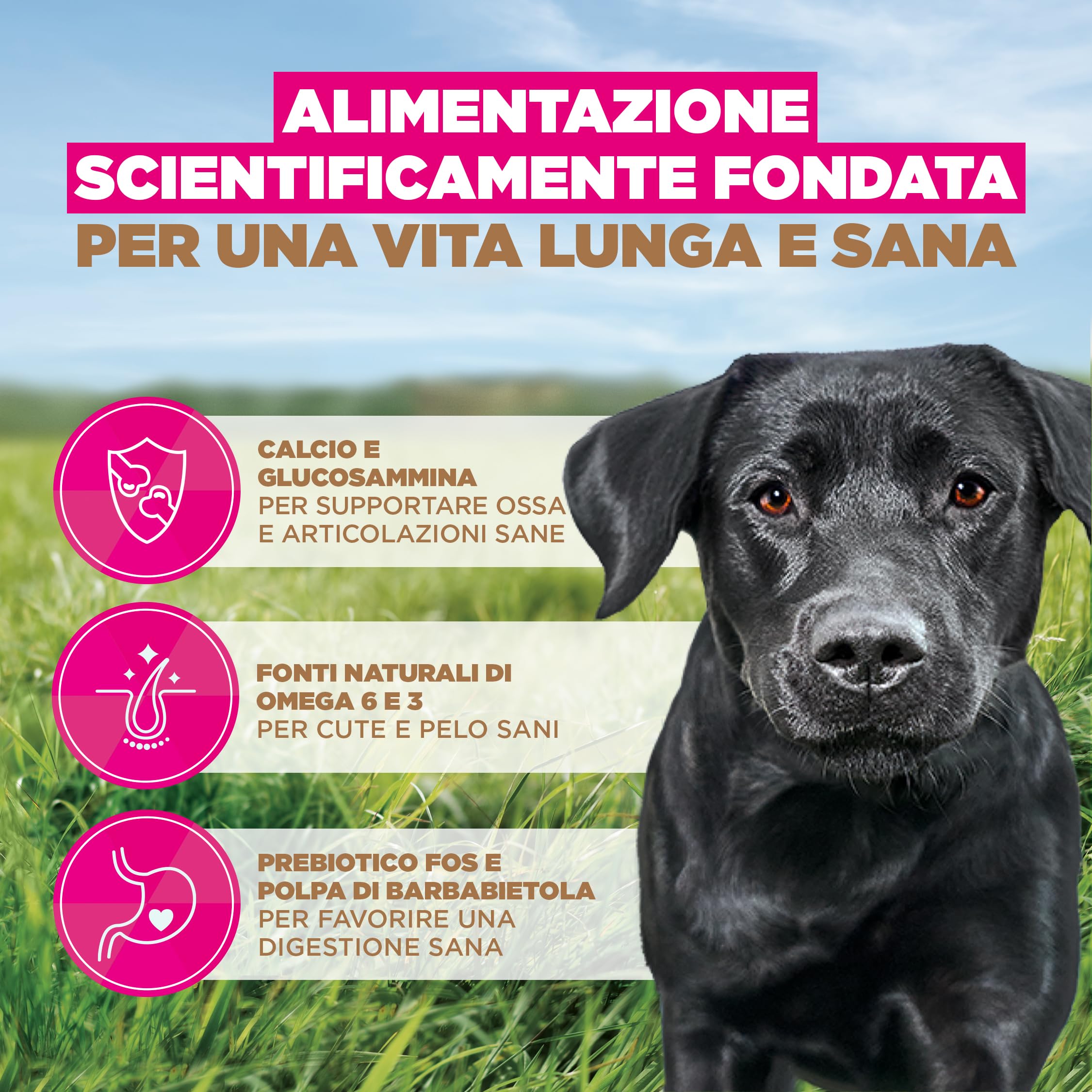 EUKANUBA Cibo secco per Cani senza cereali con pollo fresco per razze di taglia grande - Alimento secco premium privo di cereali per Cani adulti, 12 kg