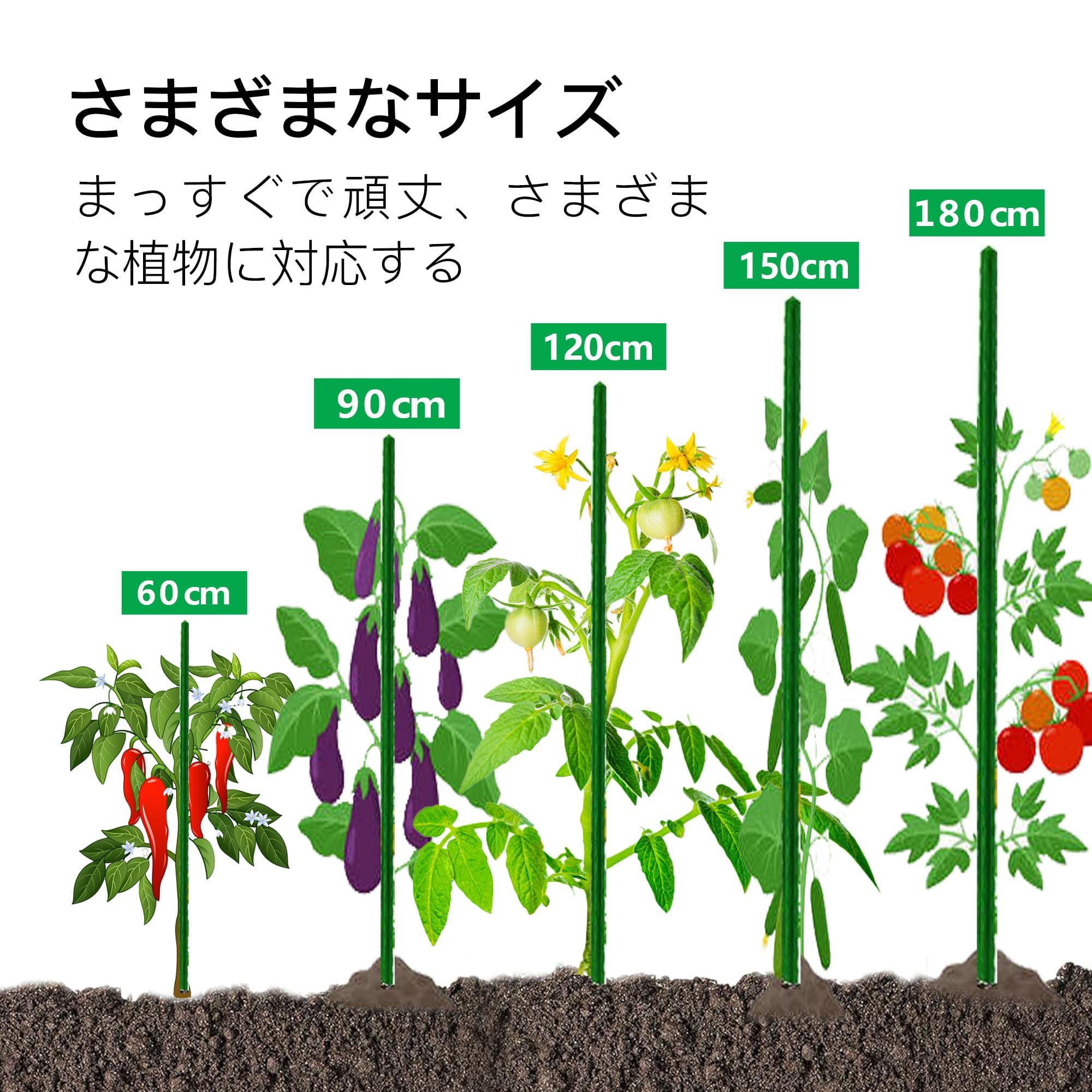 Amazon | 支柱 園芸 60cm 直径8mm 30本入り、イボ付 鋼管製の園芸 