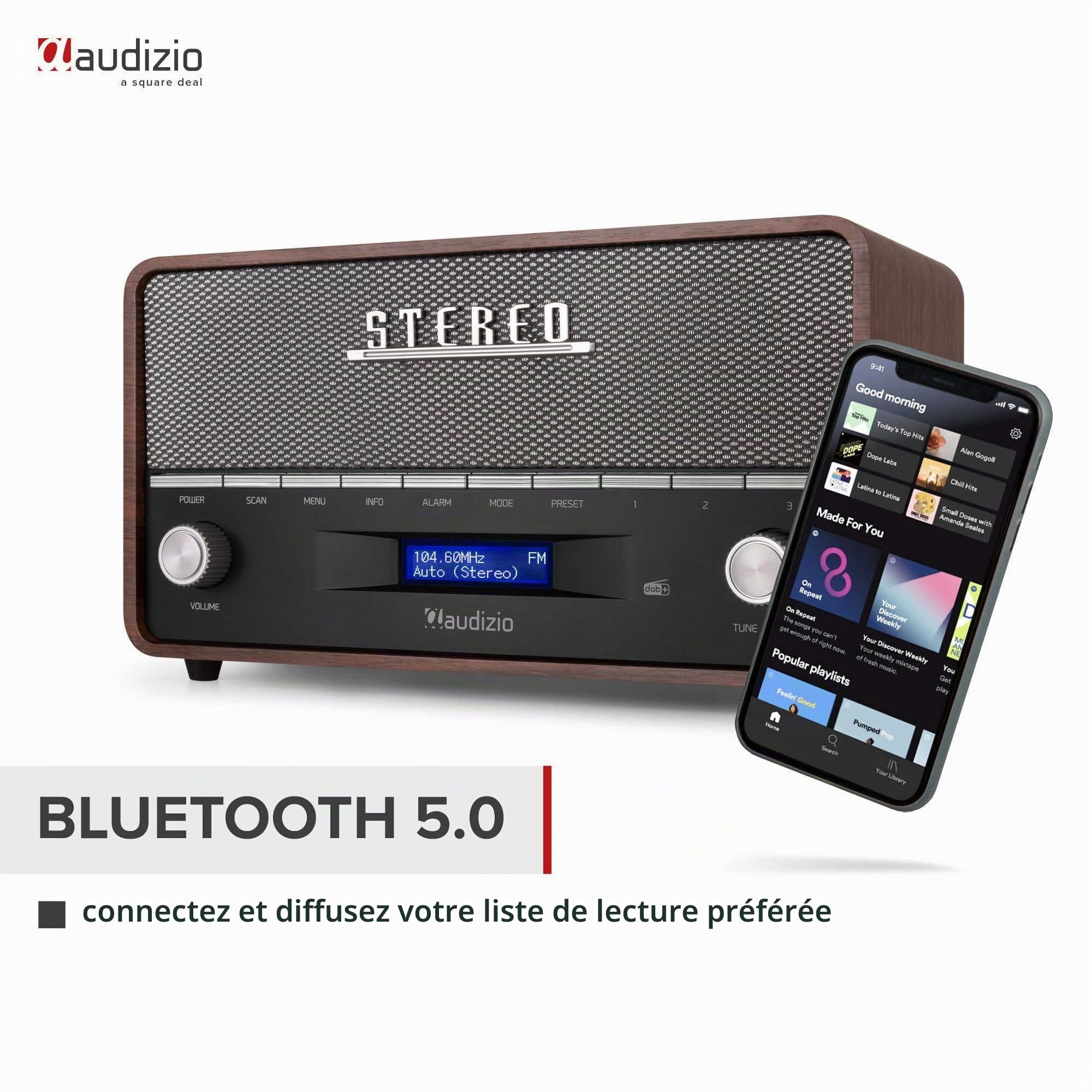 Audizio Corno Radio Dab+ Portable Stéréo 60W - Gris, Fonction Réveil, Streaming Bluetooth, Radio FM, Entrée AUX Jack 3,5mm, 20 Stations Préréglées, Idéal pour Écouter la Radio Partout
