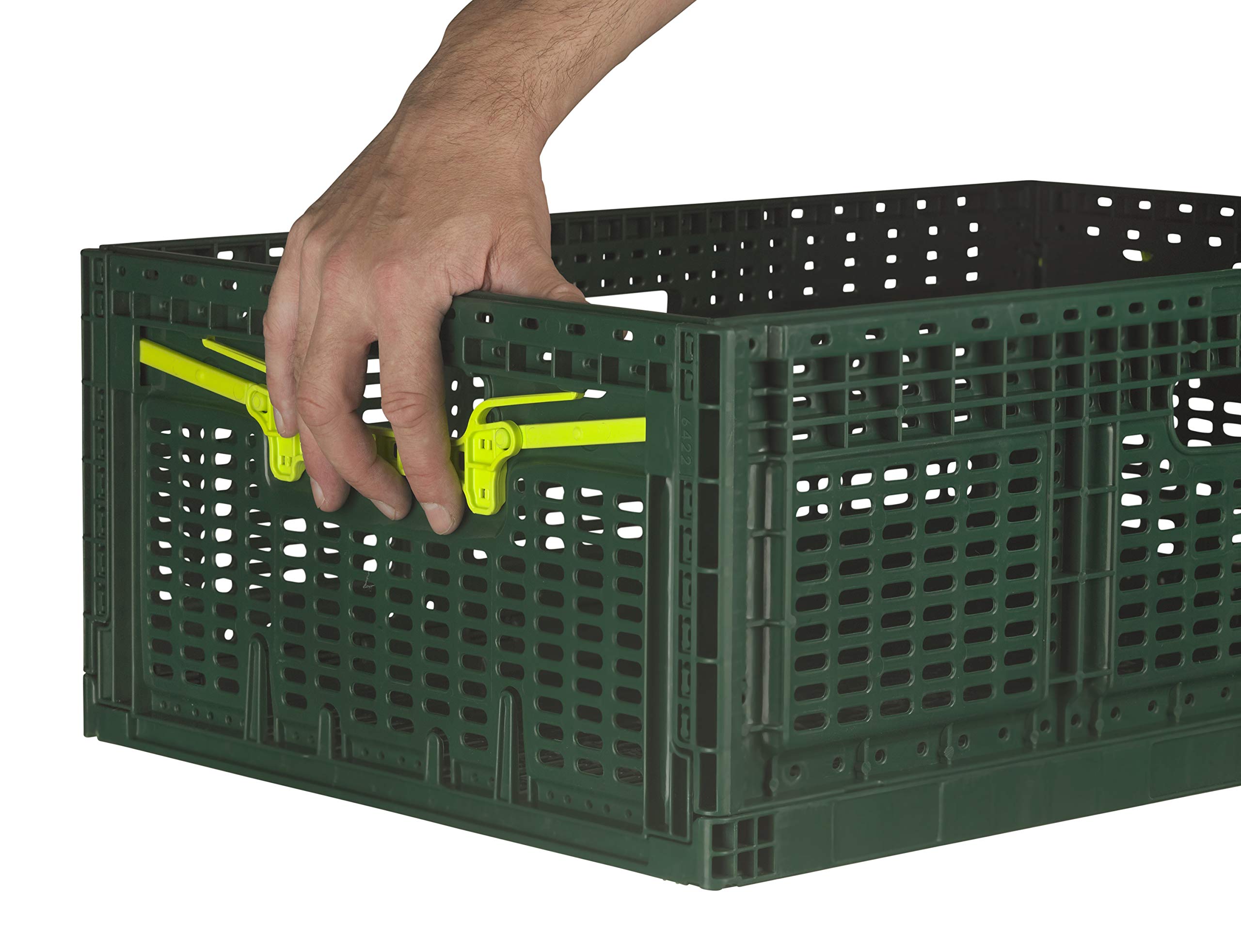 Logiplast 10 x Stabile Klappbox aus Kunststoff 60x40x21,9 cm Gemüsekiste Faltbox