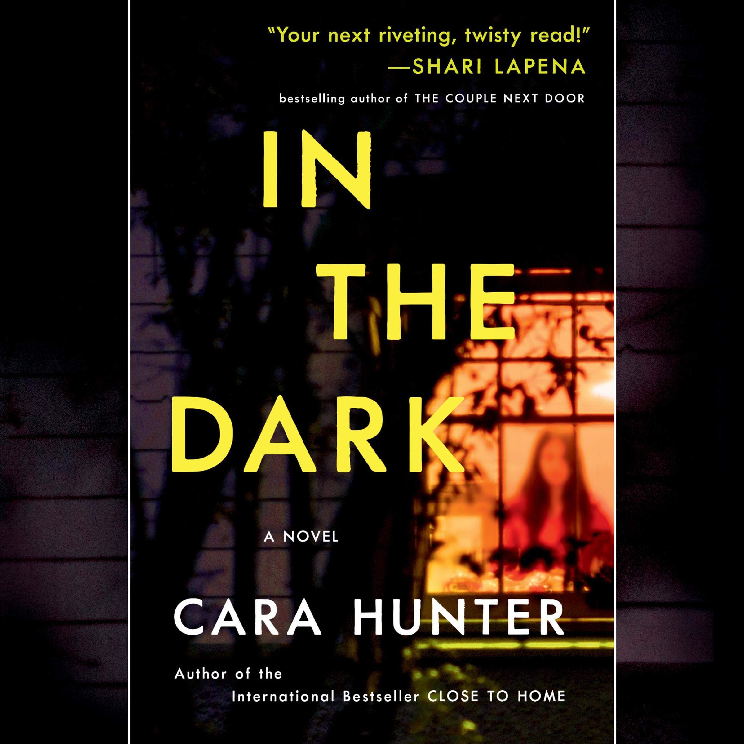 Cover art for In the Dark