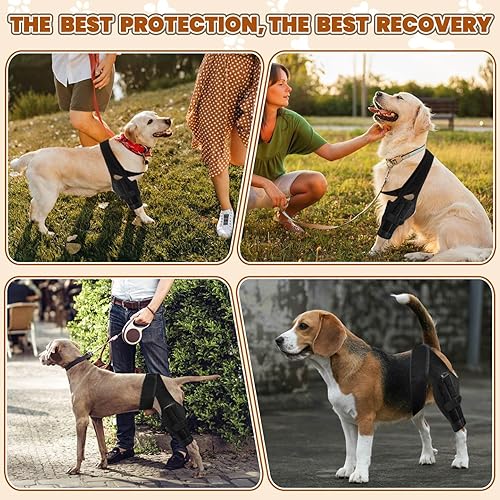 Miniatura 6 de Rodillera para perro para pierna trasera, para perros desgarrados ACL, soporte ajustable con estabilizadores de metal, mantiene las articulaciones