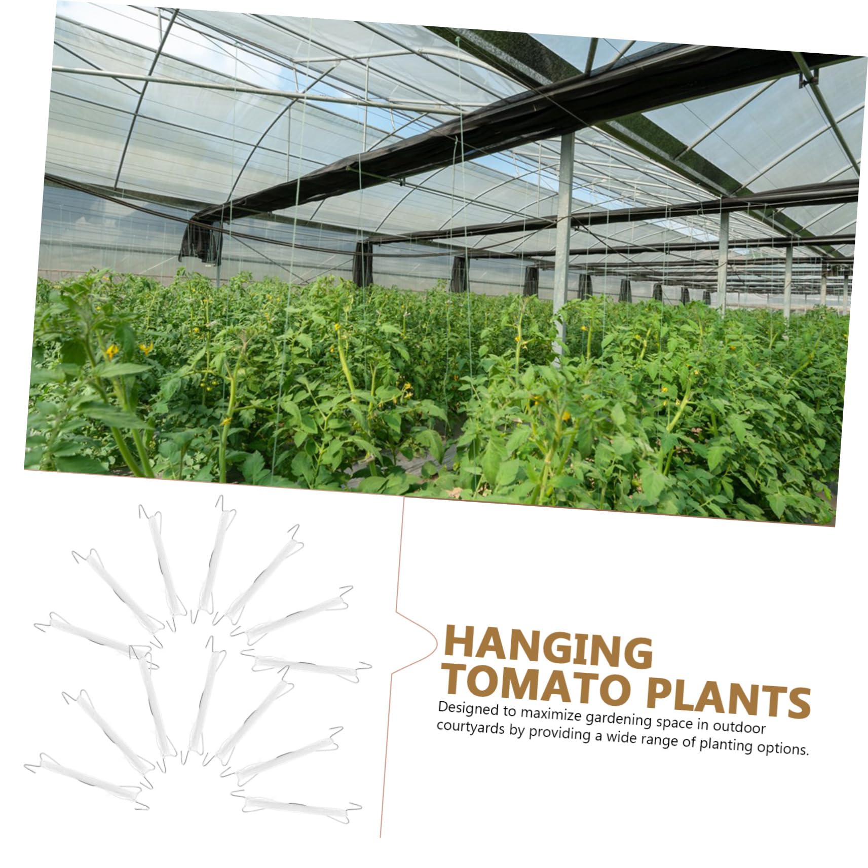 BESPORTBLE 5sets Ganci di Supporto per Piante Rampicanti Clip per Pomodori e Ropes di Traction per Giardinaggio Esterno Strumenti di Sostenimento per Viti di Piante e Orticoltura