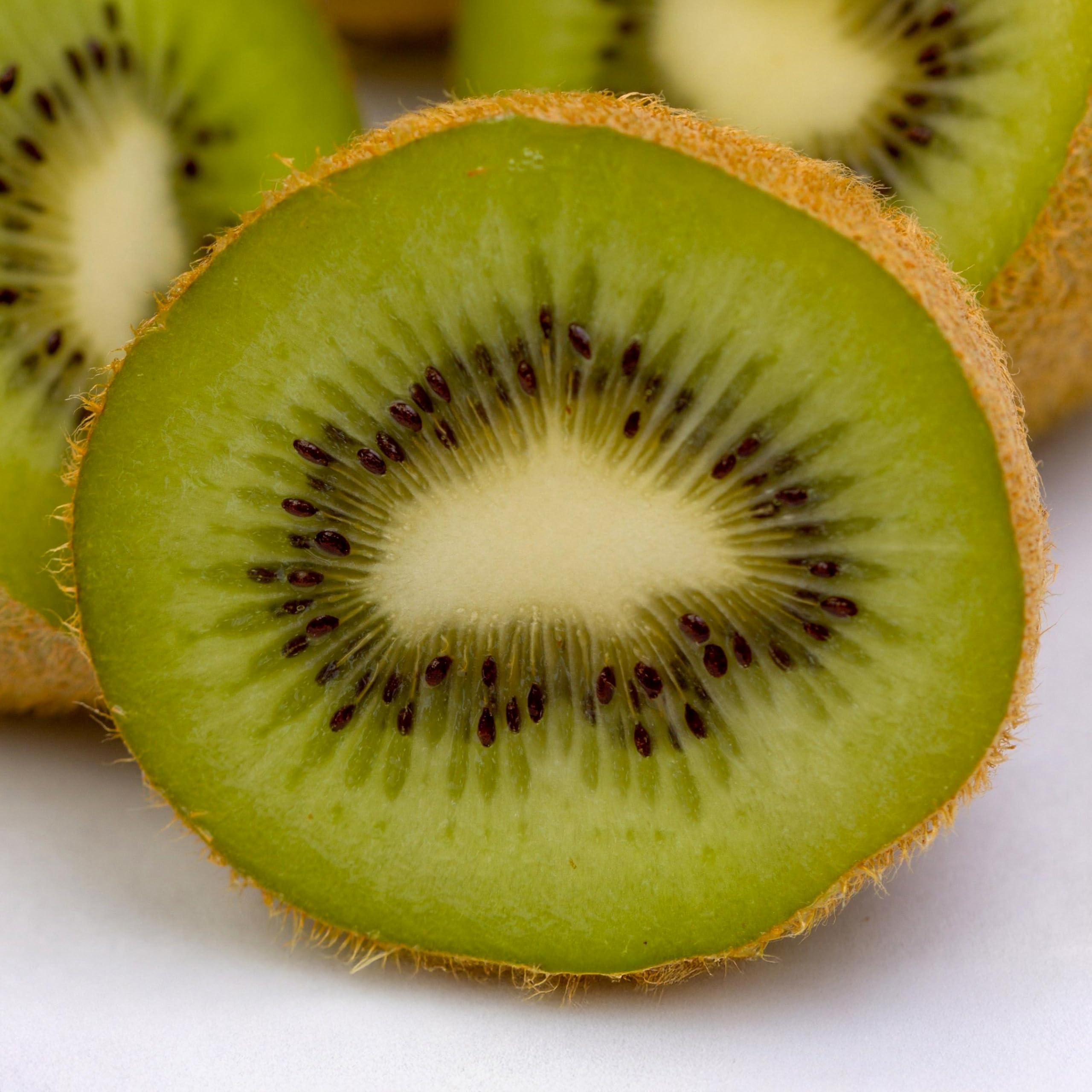 Plante à fruits - Kiwi verte - Actinidia deliciosa Jenny - Fruit vert - 2 plantes - 40-50cm - Ø15cm - Plante de jardin