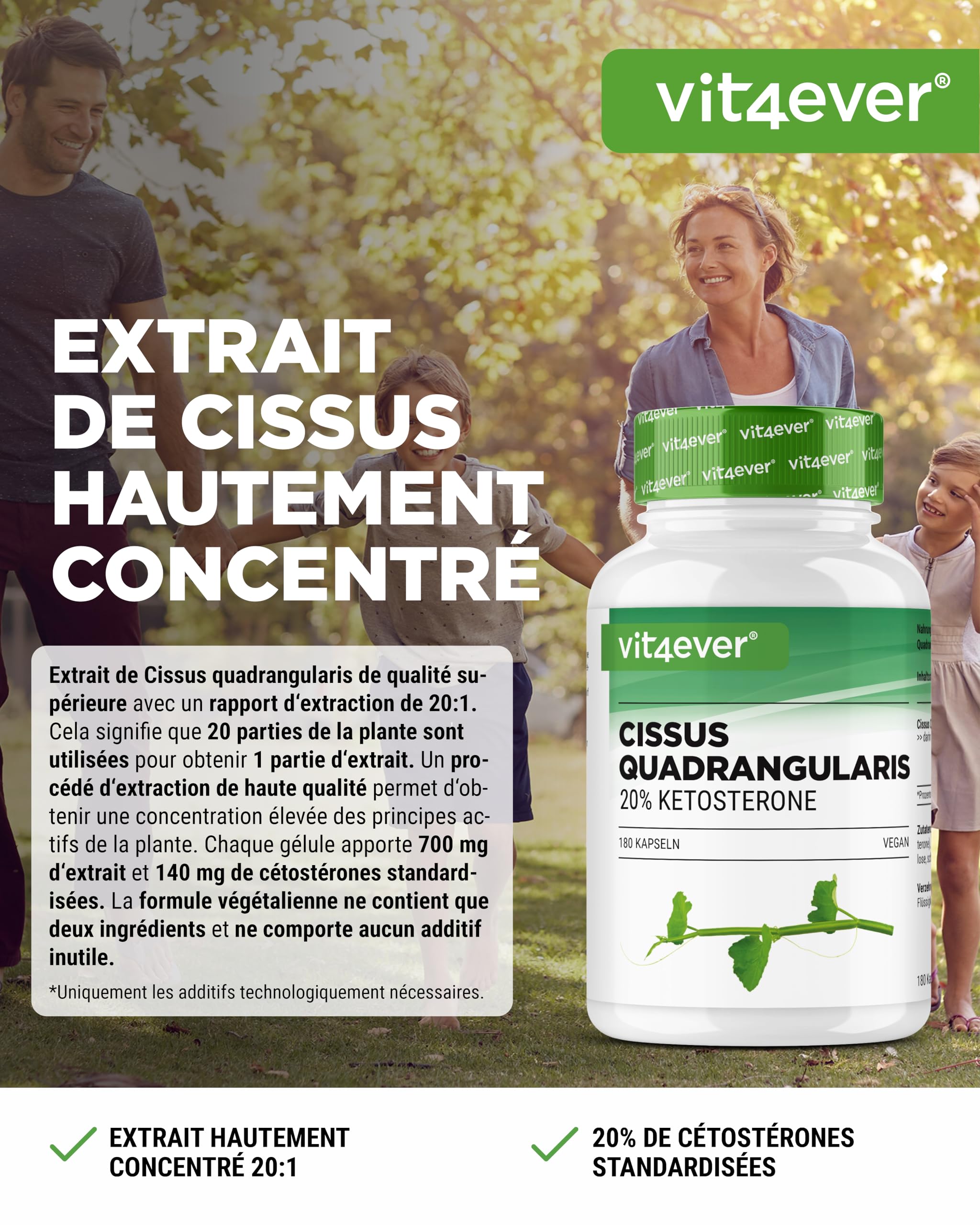 vit4ever Cissus Quadrangularis - 180 Gélules avec 700 mg d’Extrait - Premium : 20% de Cétostérones - Forte Dose - Végan