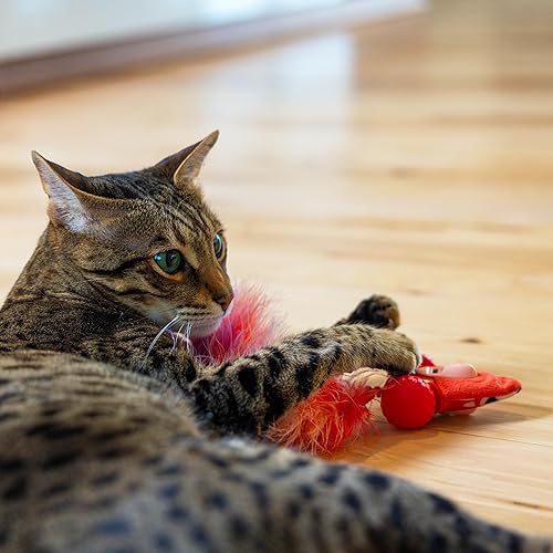 Miniatura 6 de Catstages Racin' Squirrel Robot, juguete electrónico para gatos en movimiento con plumas, recargable por USB, rojo