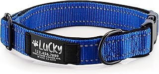 Improved - Personalized Dog Collars w/Engraved Metal ID Nameplate for Name & 3 Lines Text - Custom 20 Icons, 4 Adjustable Sizes, 10 Fonts - Dog Collar for Dogs, Dog ID Tag Personalized, Royal Blue