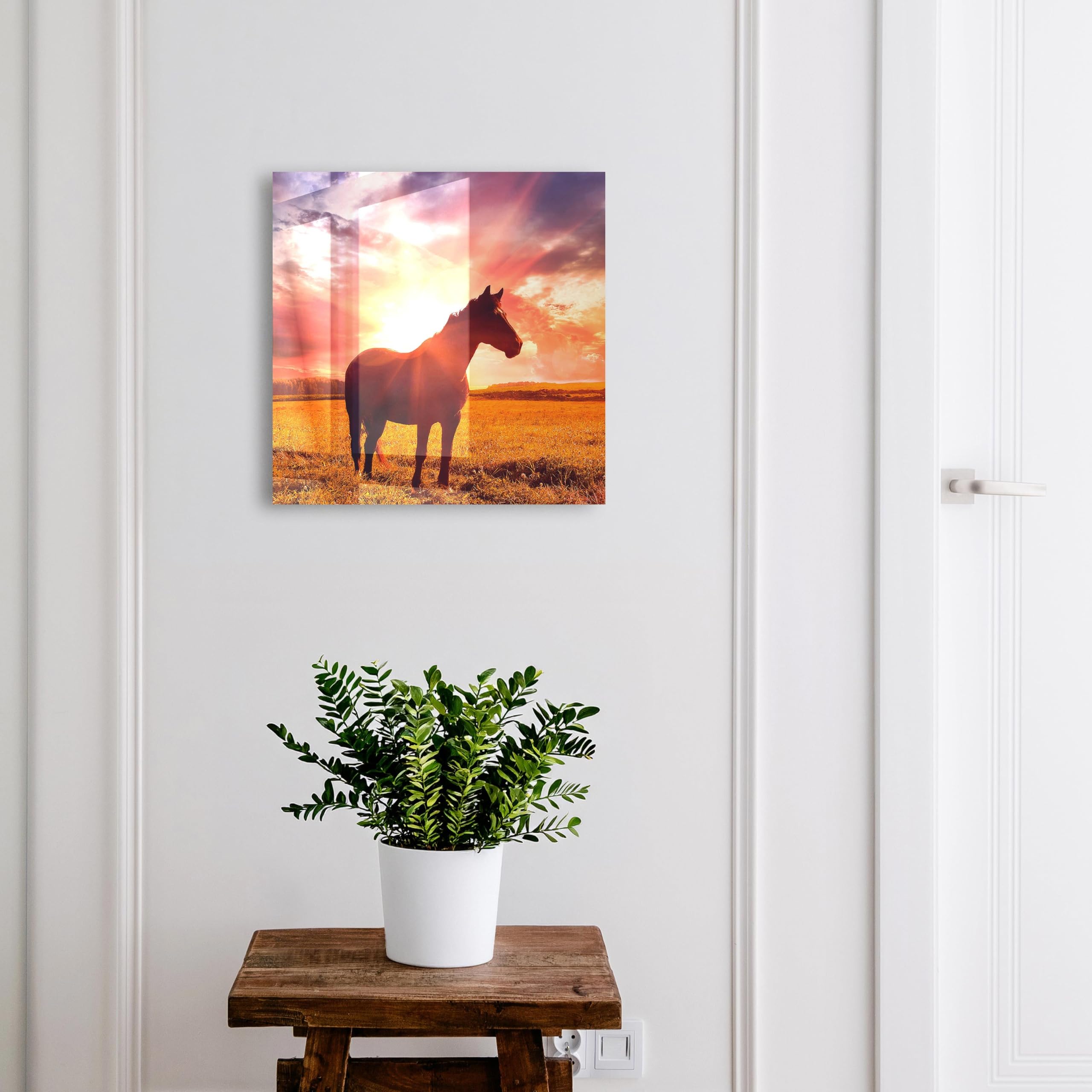 Tulup Armario de Llaves 30x30 cm | Blanco | Derecha | Montaje en Pared | Caballo al sol | Kit de Montaje Incluido | 50 Ganchos | de Metal | Organizador | Frente Decorativo de Cristal