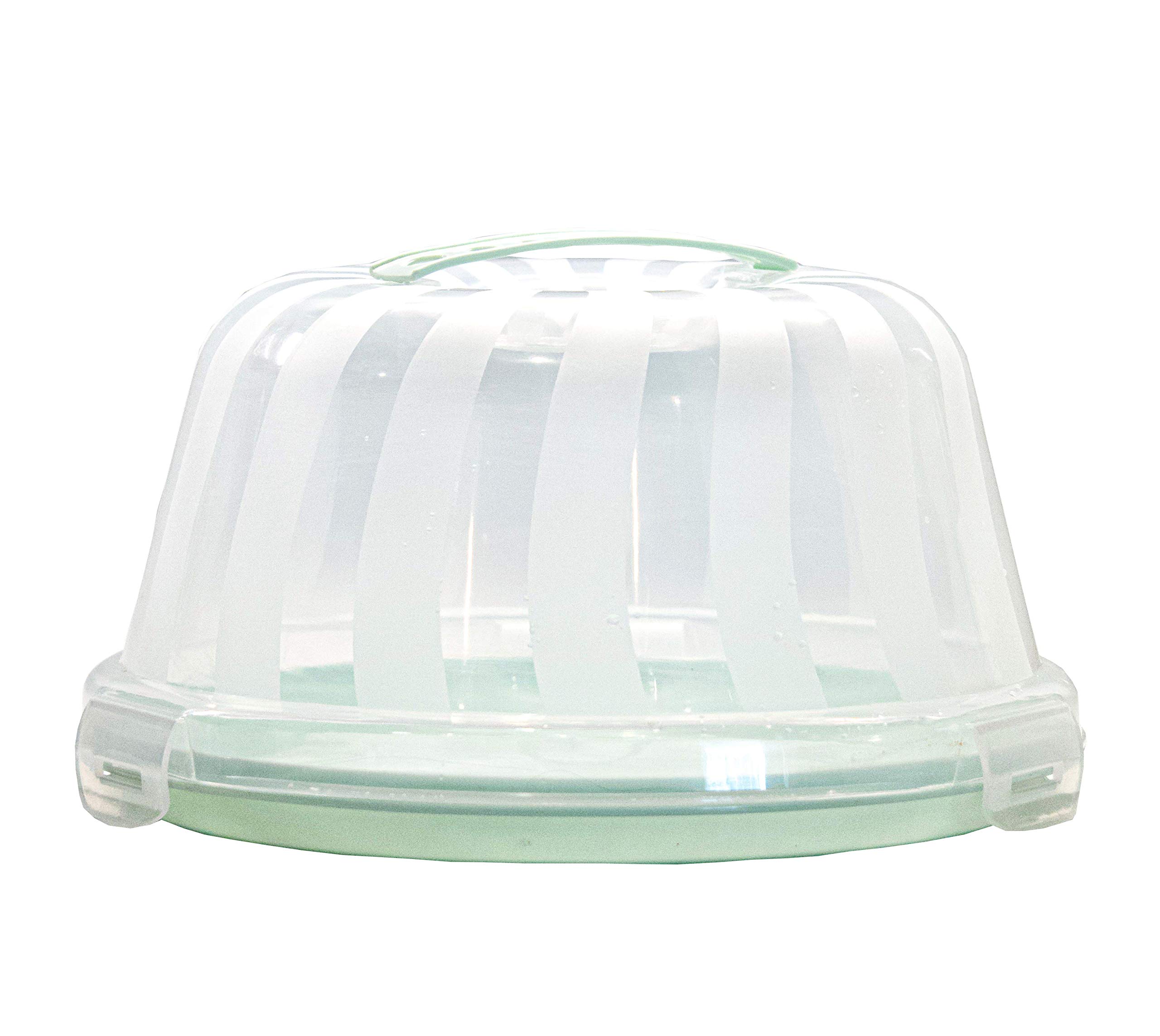 Buy Top Shelf Elements Carrier for Cakes, Pie Carrier, Cheesecake