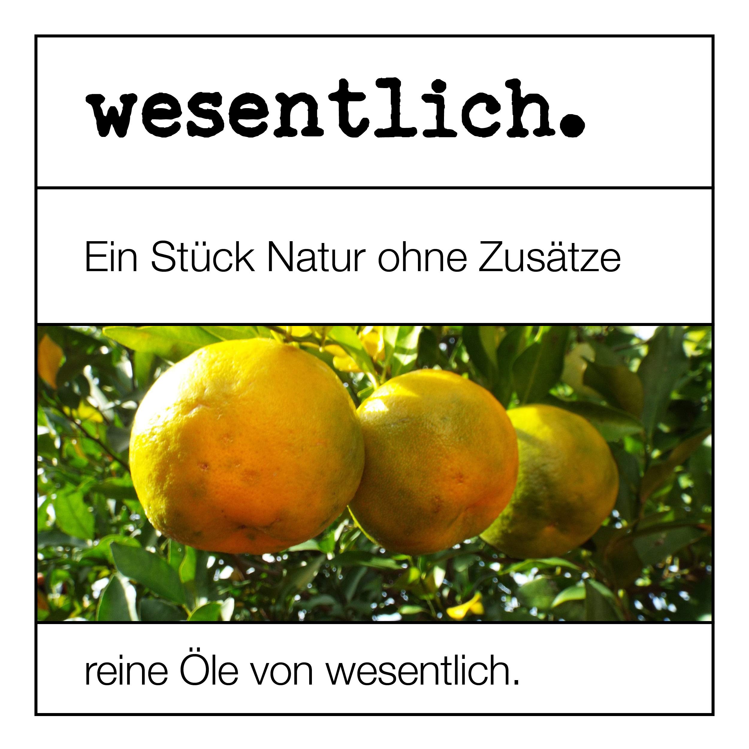 wesentlich ätherische Öle - Set No. 5 (Citrus)