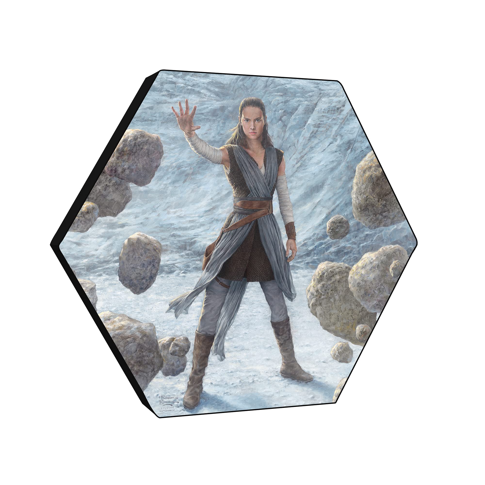 STAR WARS: THE RISE OF SKYWALKER Rey 銀貨 STAR WARS: THE RISE OF