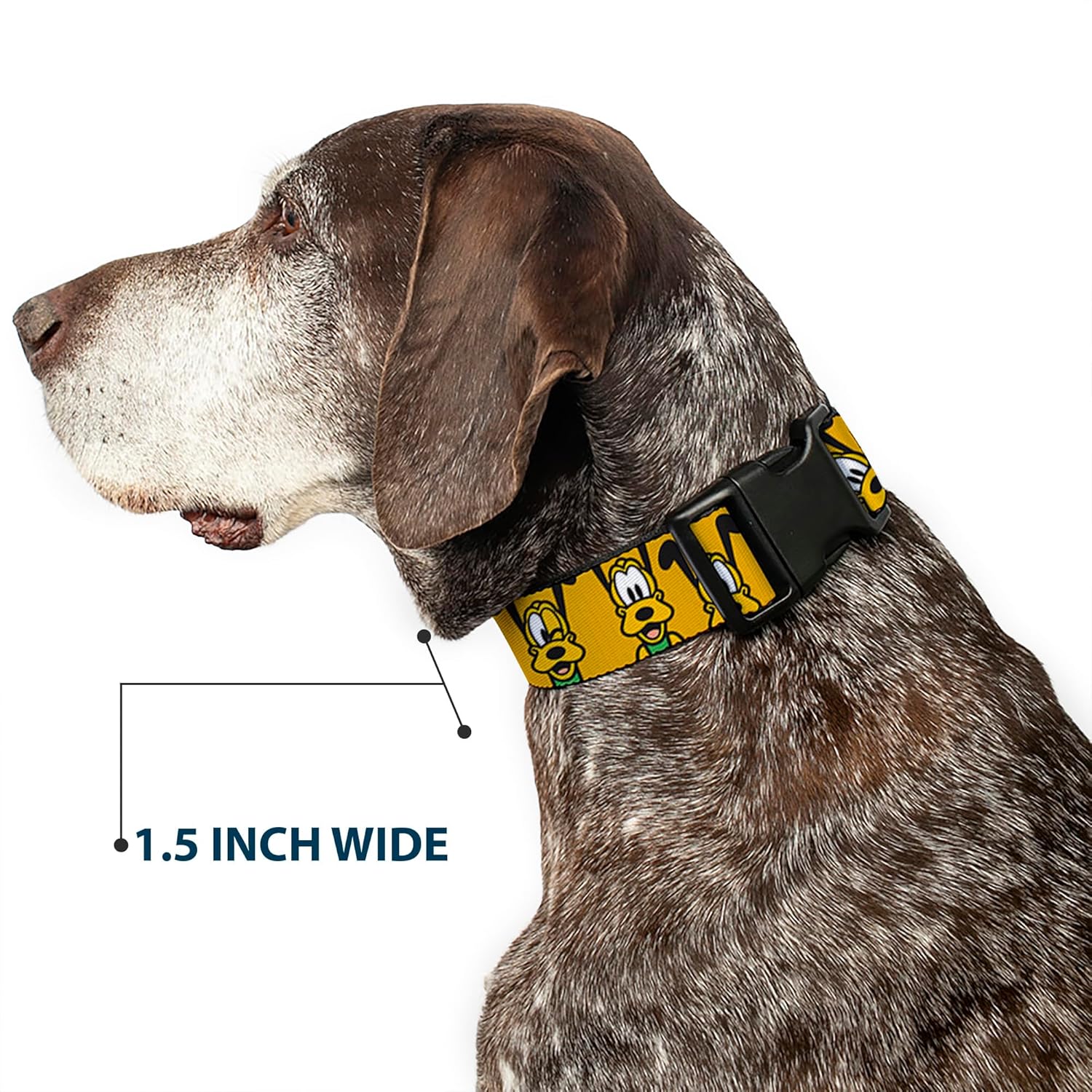 Disney Pet Collar, Dog Collar Plastic Buckle, Disney Pluto Expressions Orange, 13 to 17 Inches 1.5 Inch Wide