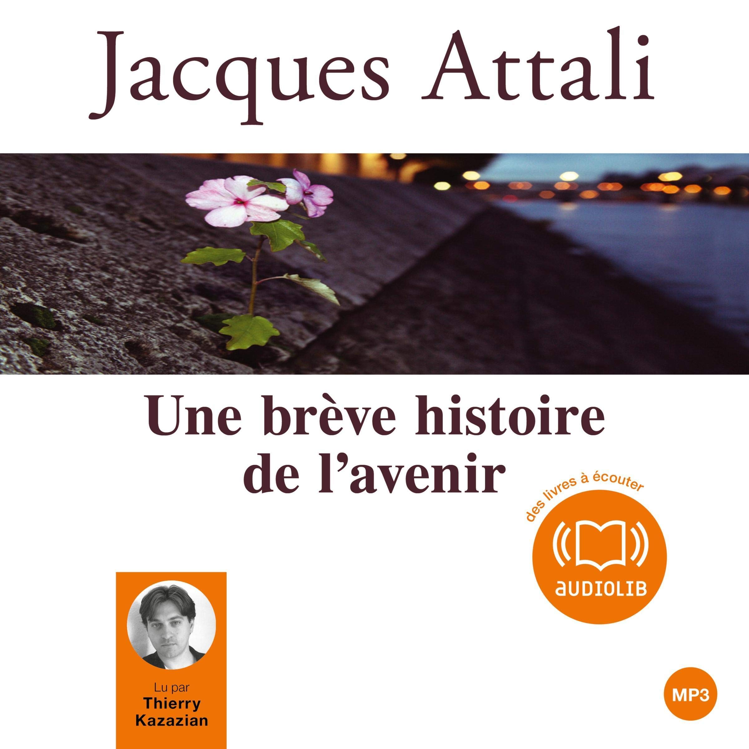 Cover art for Une brève histoire de l'avenir