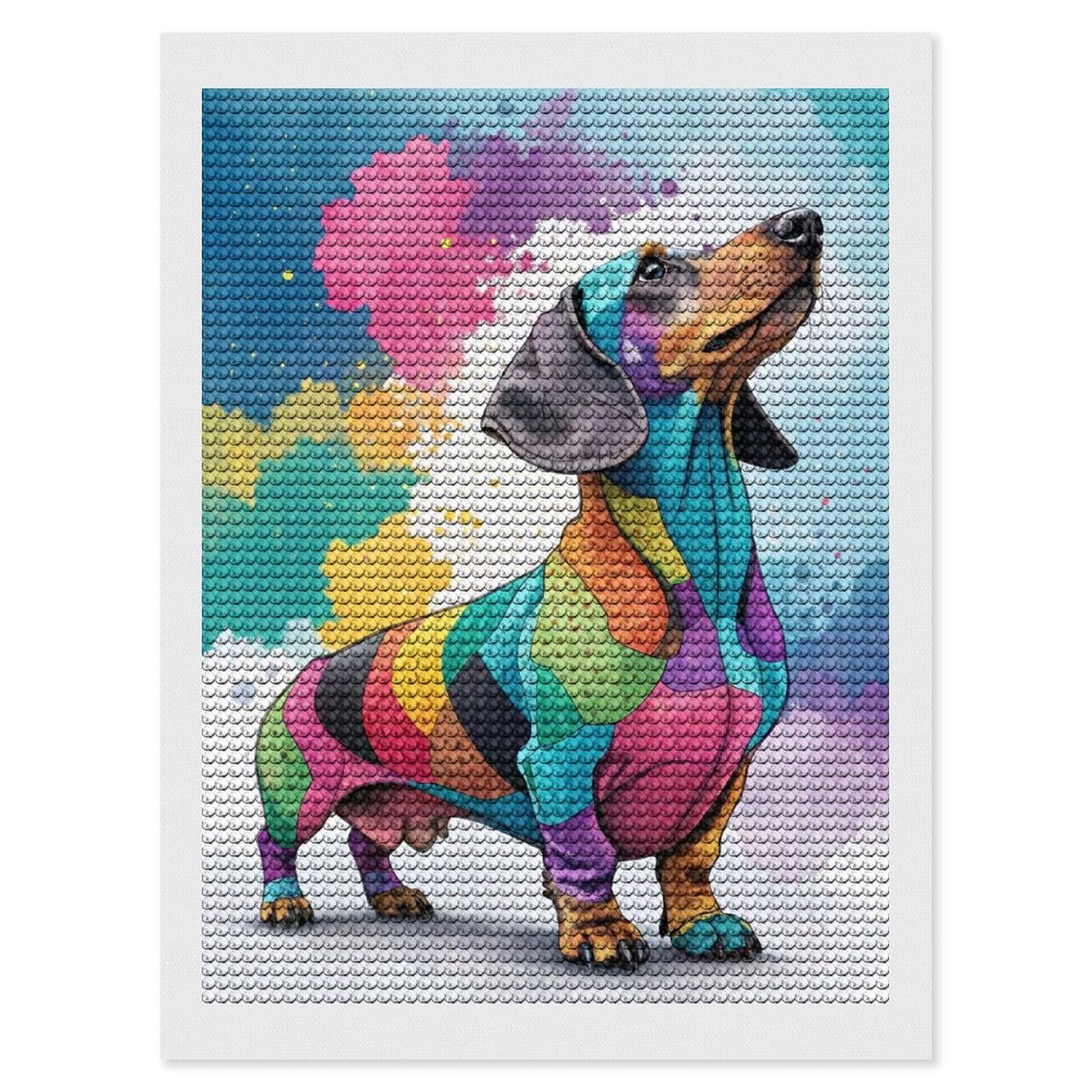 Junmoney Colorful Dachshund Watercolor Painting Diamond Painting Canvas Set 12"x16", Satisfying Creative Project, Easy to Follow Symbols, Fun Craft Experience