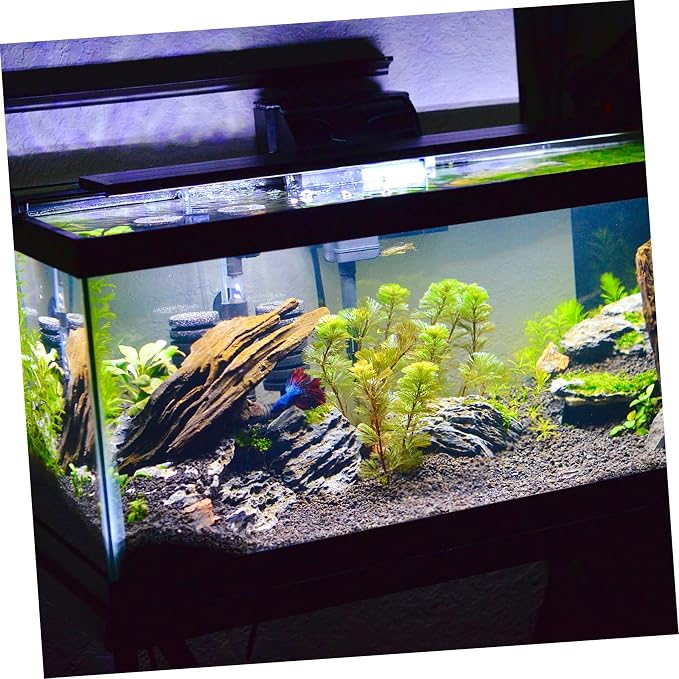 Alfombra niveladora para terrario y acuario 15.75x11.81x0.24 in miniatura 6