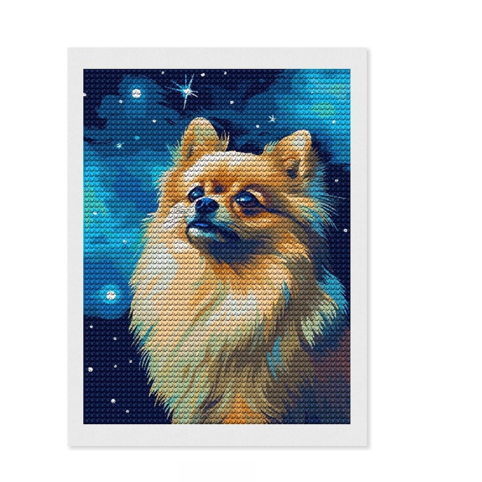 Junmoney Pomeranian Stars Pixel Art Full Drill Diamond Painting Kit 12"x16", Bedroom Decor, for Craft Lovers, Mindful Craft Activity, Birthday Gift
