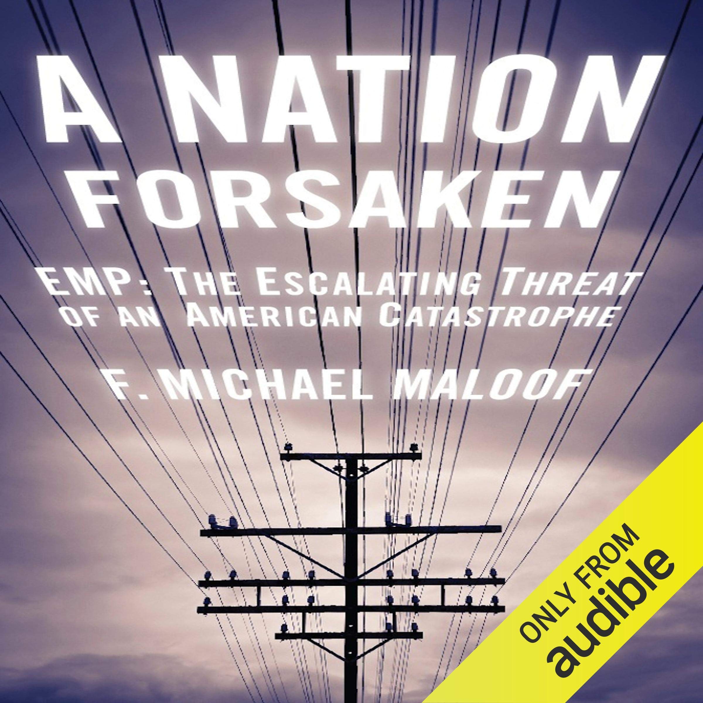 Cover art for A Nation Forsaken
