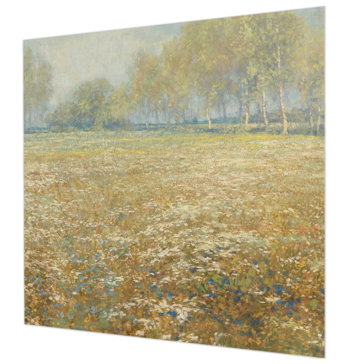 Papier peint intissé facile à poser et nettoyer motif champ en fleurs