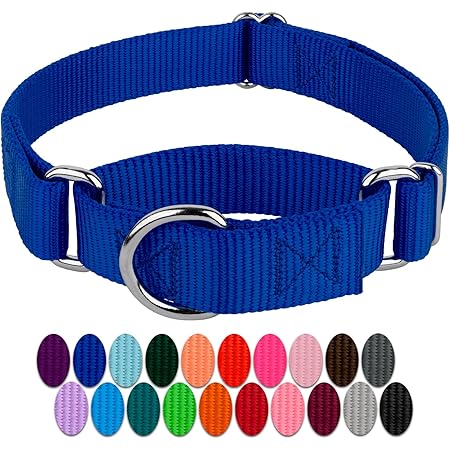 blueberry martingale collar