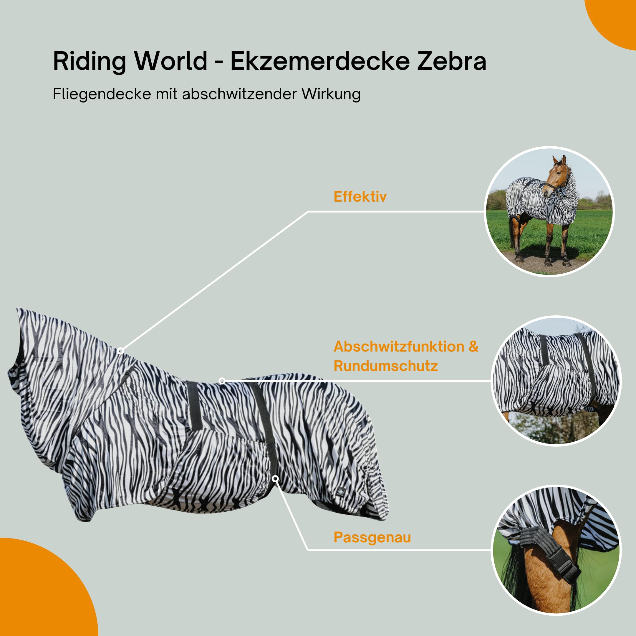 Riding World - Ekzemerdecke Zebra | Fliegendecke mit abschwitzender Wirkung | Pferdedecke mit Bauchlatz & verstellbaren Riemen & Bändern | Abschwitzdecke Pferd & Pony | Stalldecke Zebra-Look | 145 cm