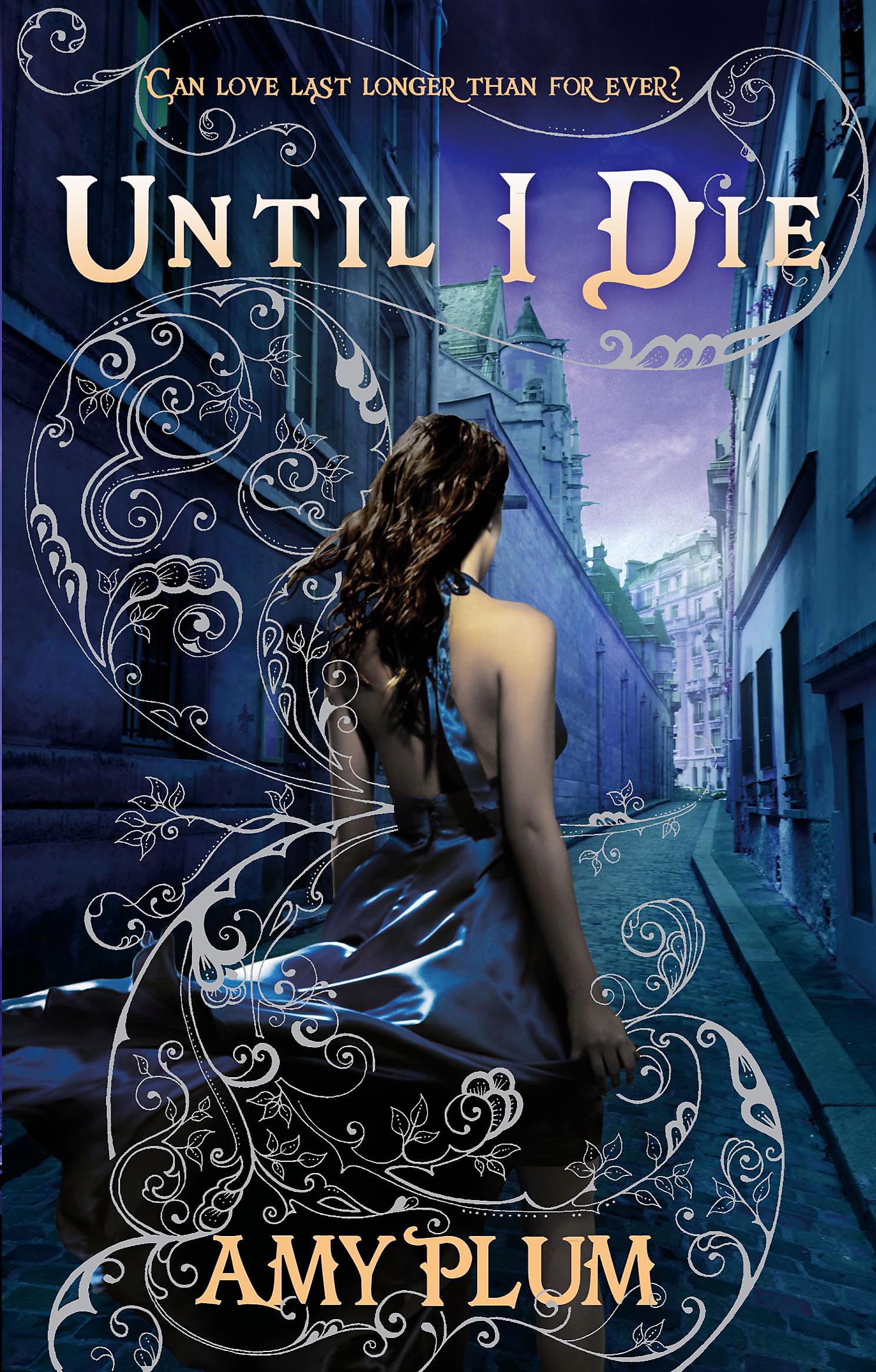 Until I Die: Number 2 in series by Amy Plum PAPERBACK 9781907411038