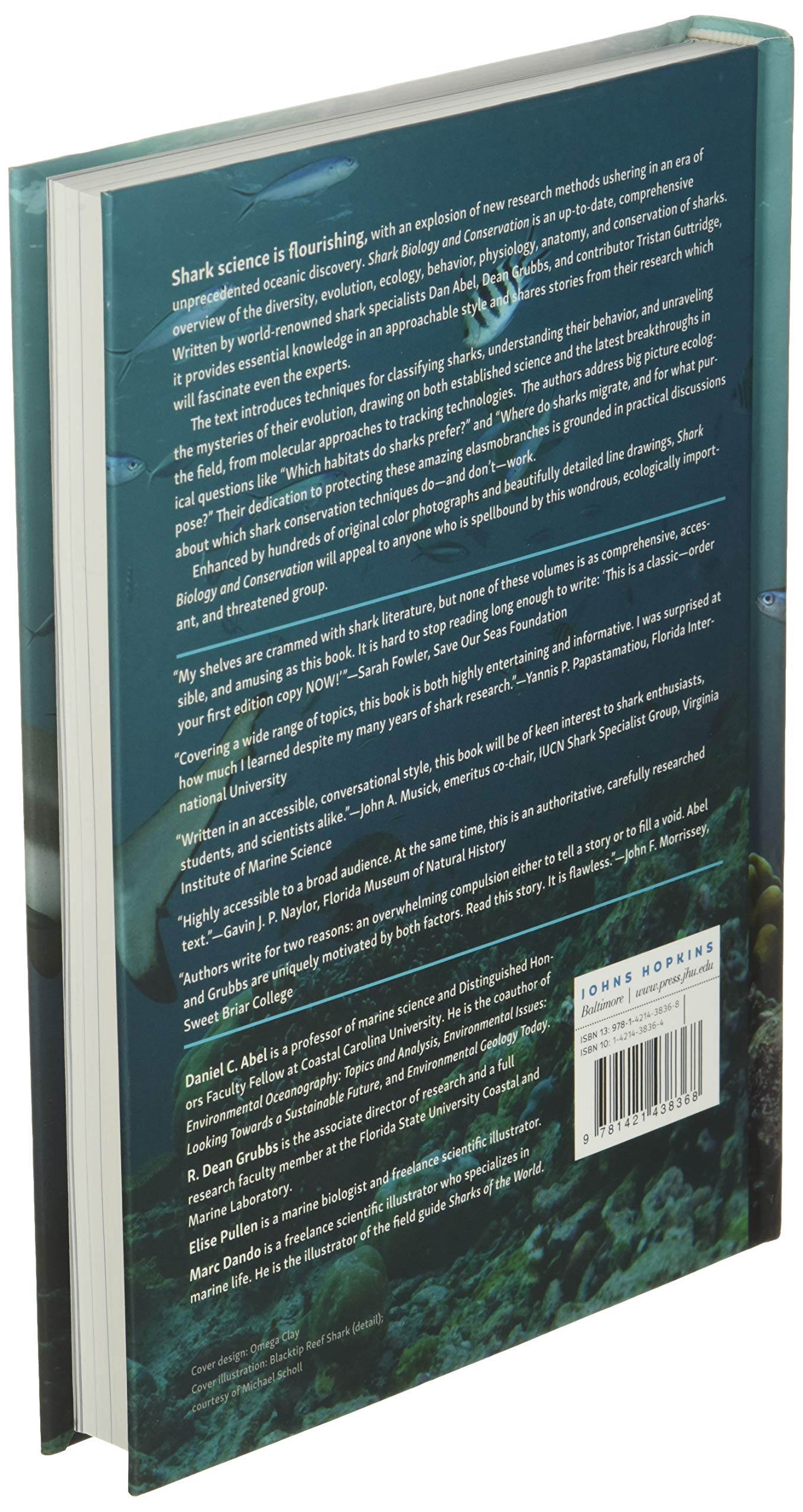 Shark Biology and Conservation: Essentials for Educators, Students, and Enthusiasts - Image 4