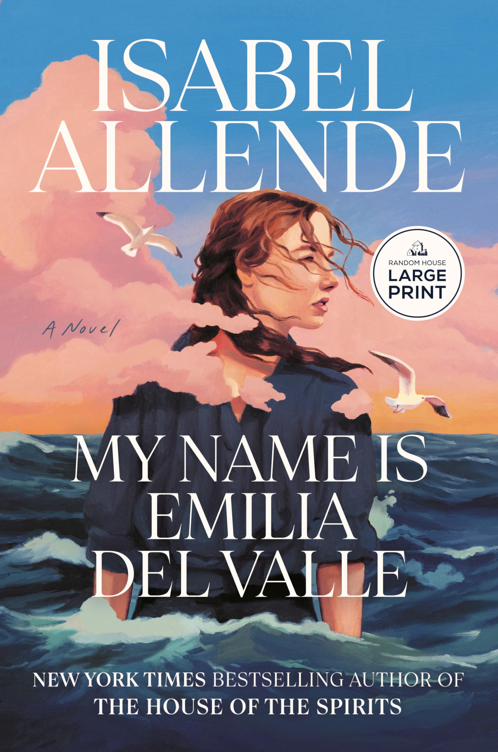 My Name Is Emilia del Valle: A Novel