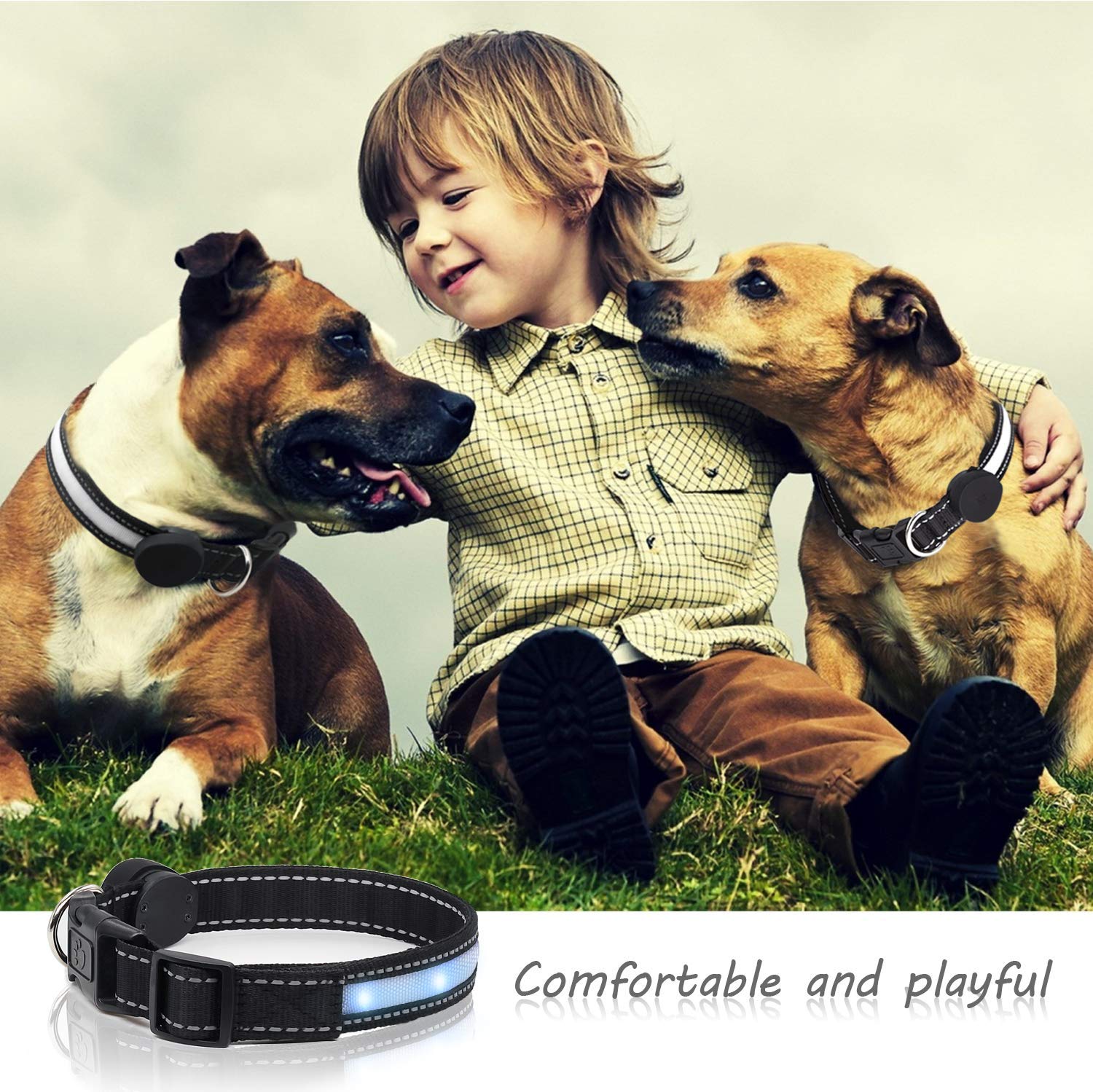 Collar de Seguridad LED para Perro, Recargable por USB, Collar de Nailon para Mascotas con Hebilla de Metal, Resistente al Agua, luz Intermitente, Hace Que tu Perro Sea Visible, Seguro y Visto