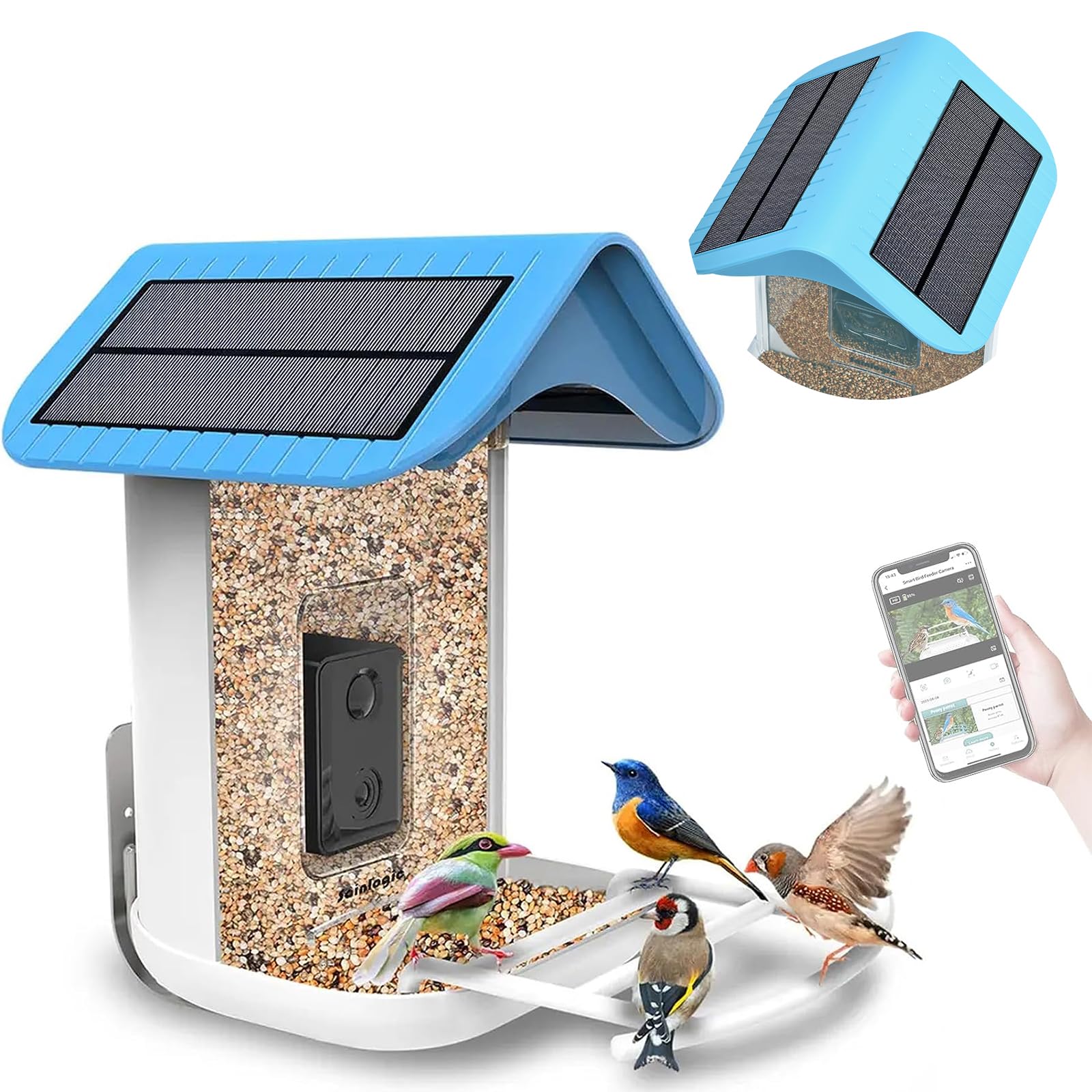 Twesync Mangiatoia Intelligente Per Uccelli Con Fotocamera 2K, Osserva Gli Uccelli Da Vicino, Alimentatore Automatico