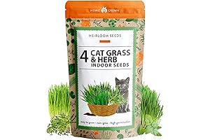 Catnip Grass Seeds Bulk - Mega Pack of Cat Grass Growing Kit