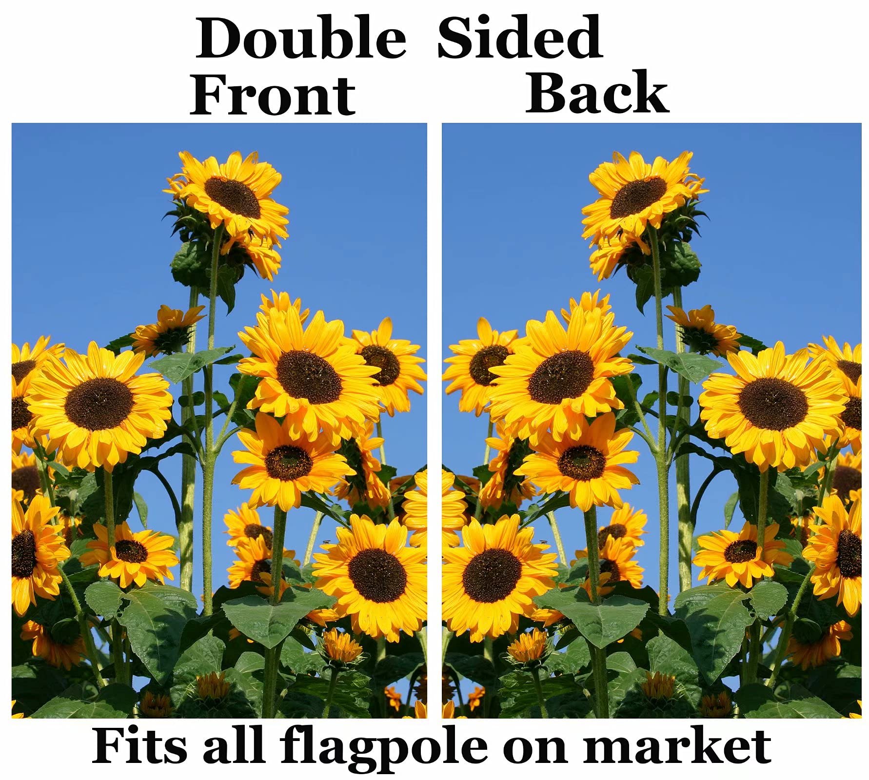Pickako Gartenflagge 'Blaue Vögel Im Apfelbaum' – Doppelseitig, 71,1 X 101,6 Cm Für Garten & Terrasse