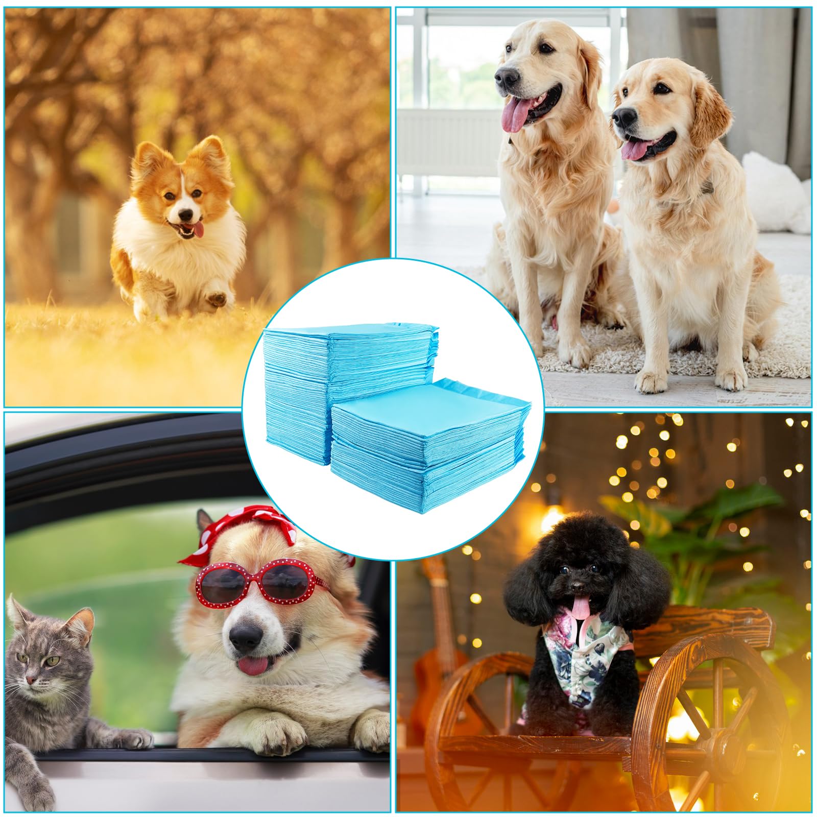 60 Unidades Empapadores Perros, 60 x 90 cm Alfombrillas Higiénica Desechables para Mascotas, Diseño de 5 Capas a Prueba de Fugas con Superficie de Secado Rápido, Transpirables Resistente