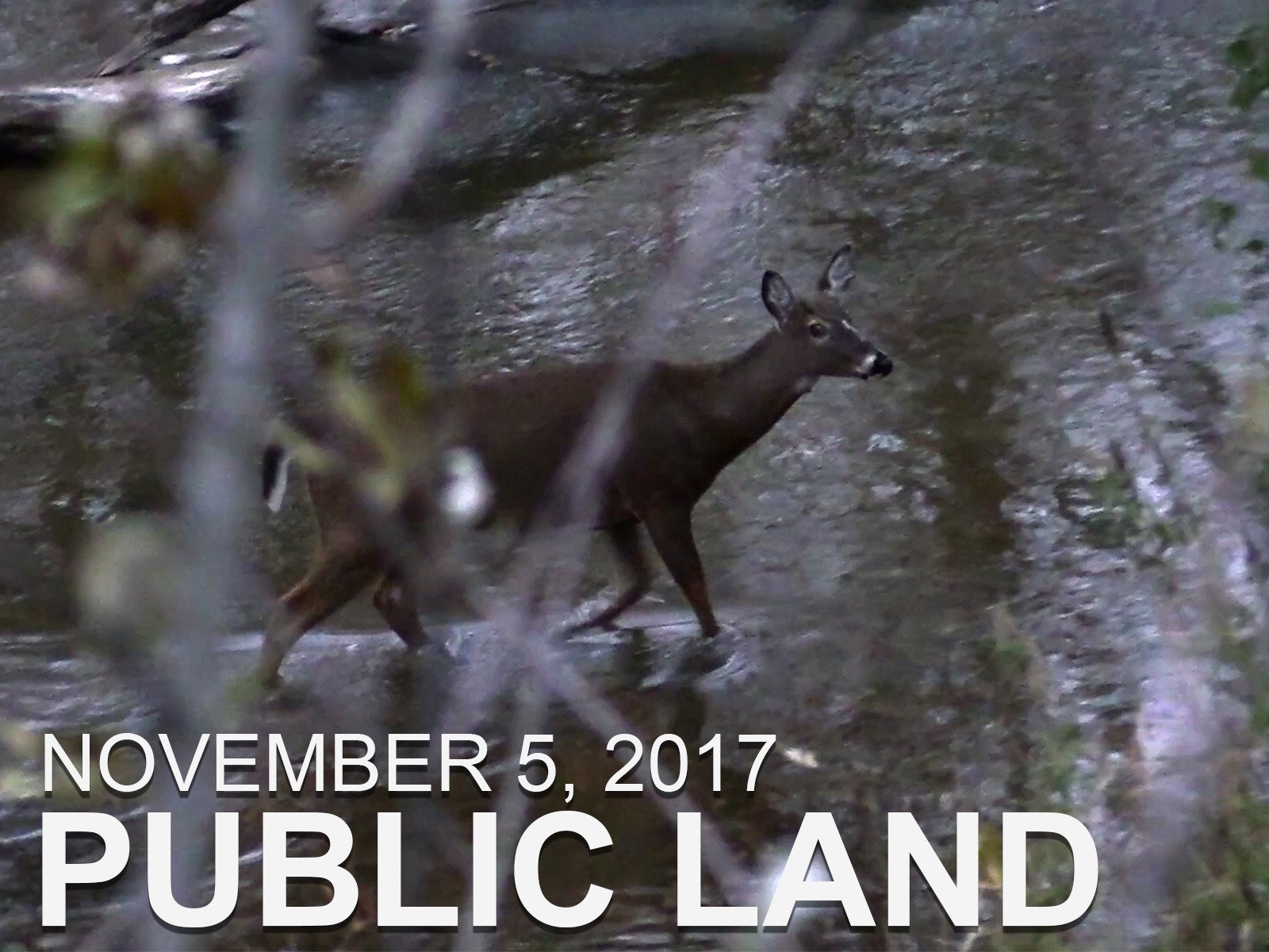 Watch The Hunting Public Prime Video