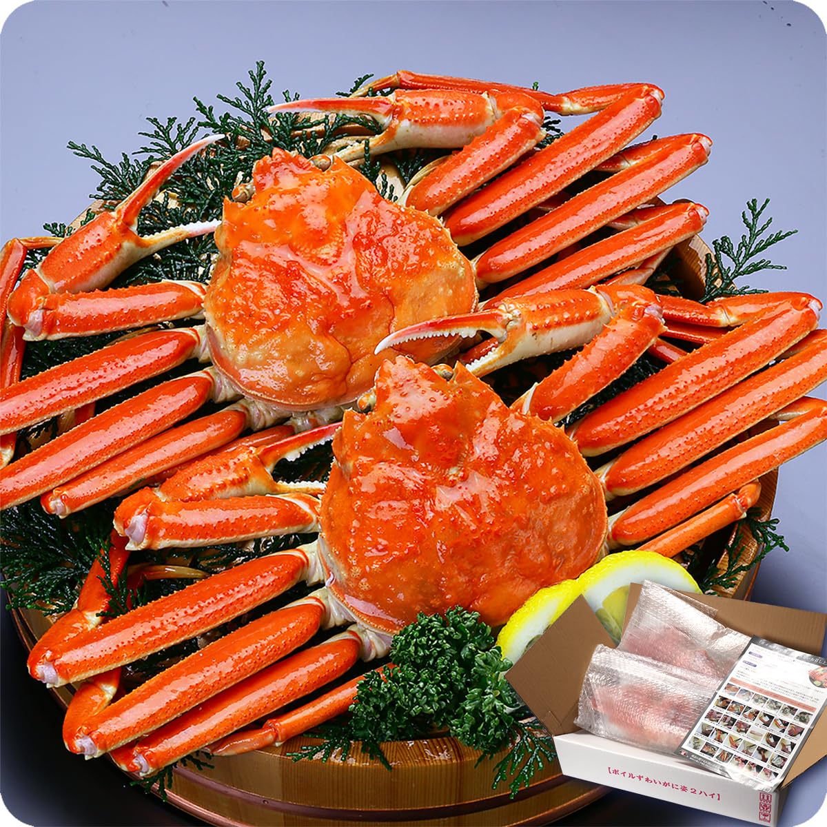 甲羅組 特大 ボイルズワイガニ 大型 600g×2ハイ