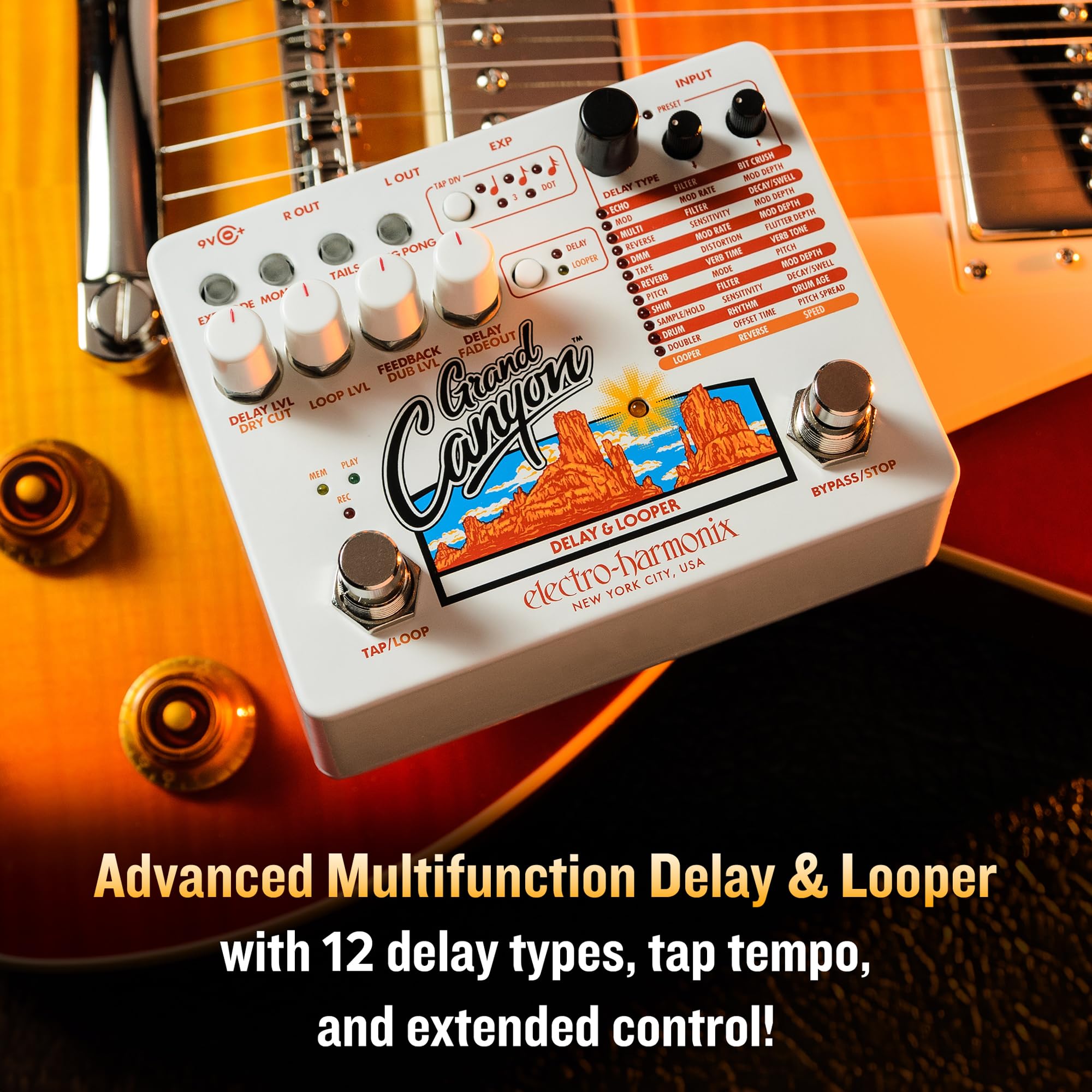 Amazon.com: Electro-Harmonix Grand Canyon Delay & Looper