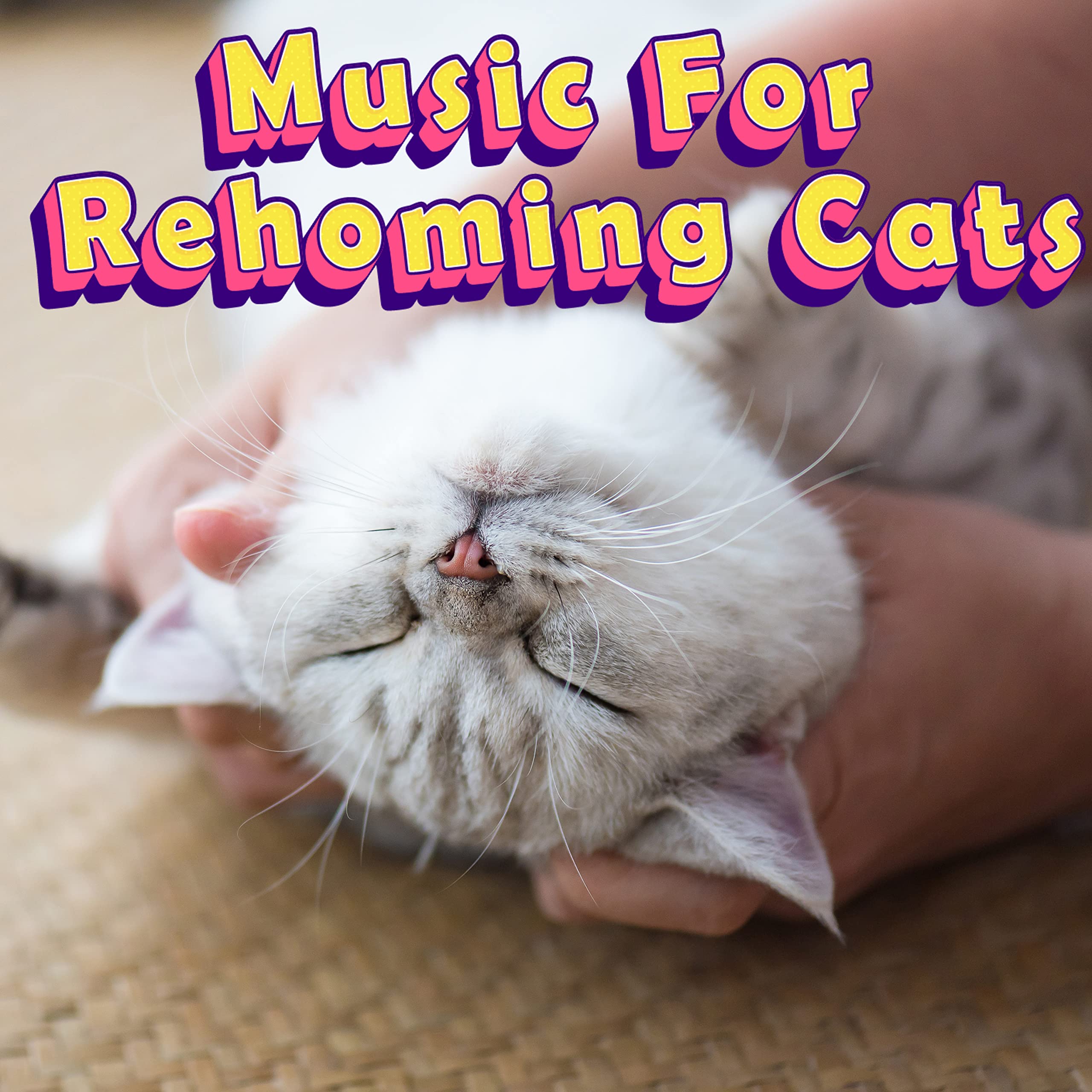 Music For Rehoming Cats