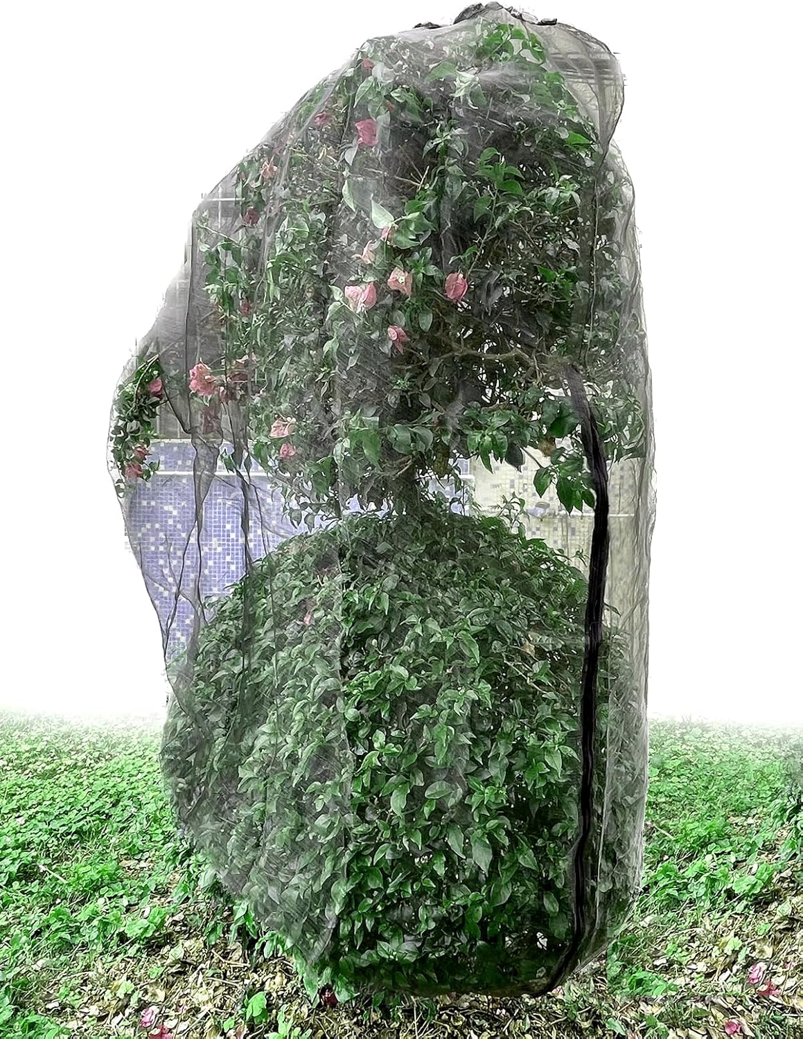 Amazon.com : BiirBlue Large Fruit Tree Netting 2 Pack 6x6 Ft, Bird ...