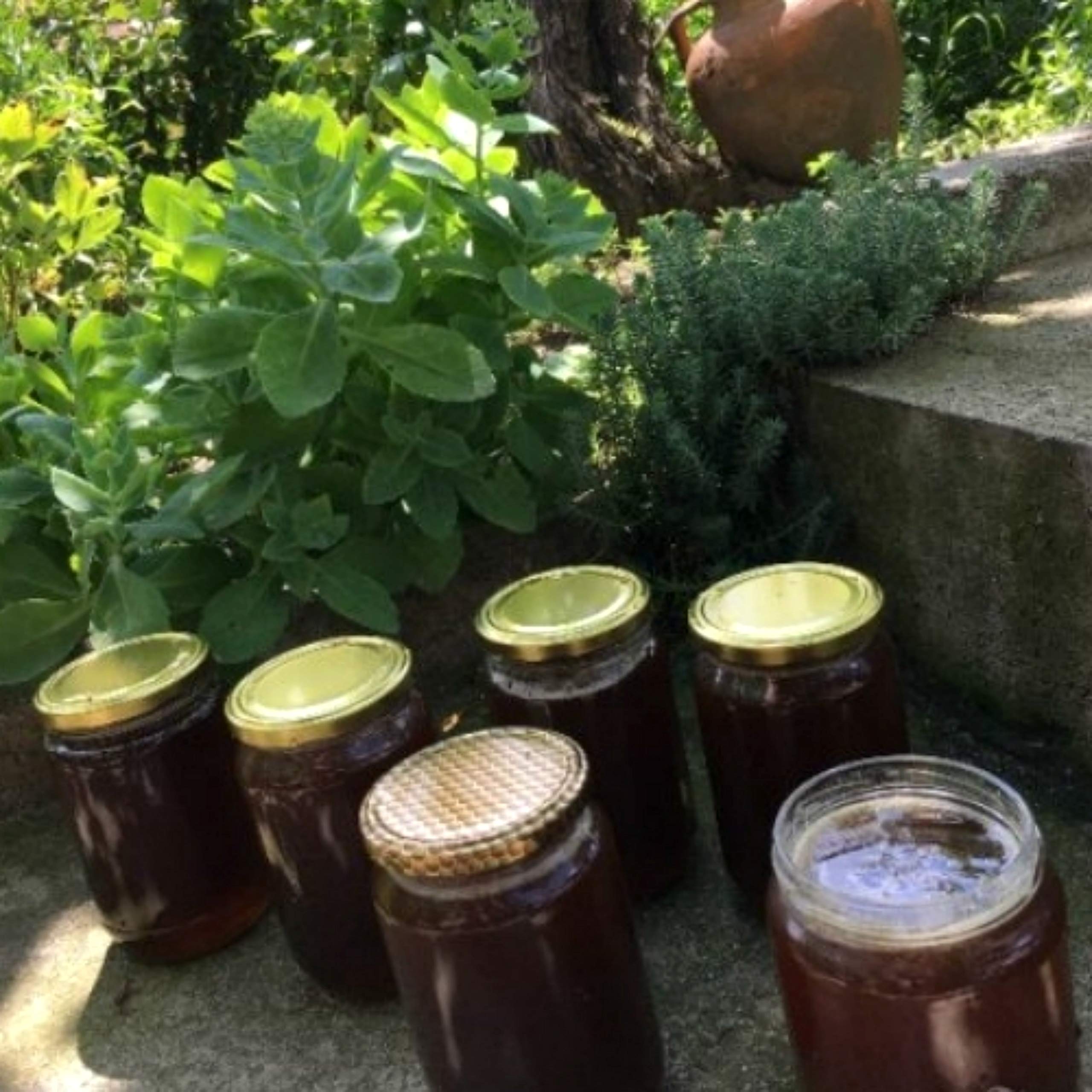 100% czysty surowy organiczny dziki miód lipowy 1 kg nowy dziki zbiór wegetariańska ekonomiczny pakiet szklany słoik, niefiltrowany, niepodgrzewany, nielakierowany